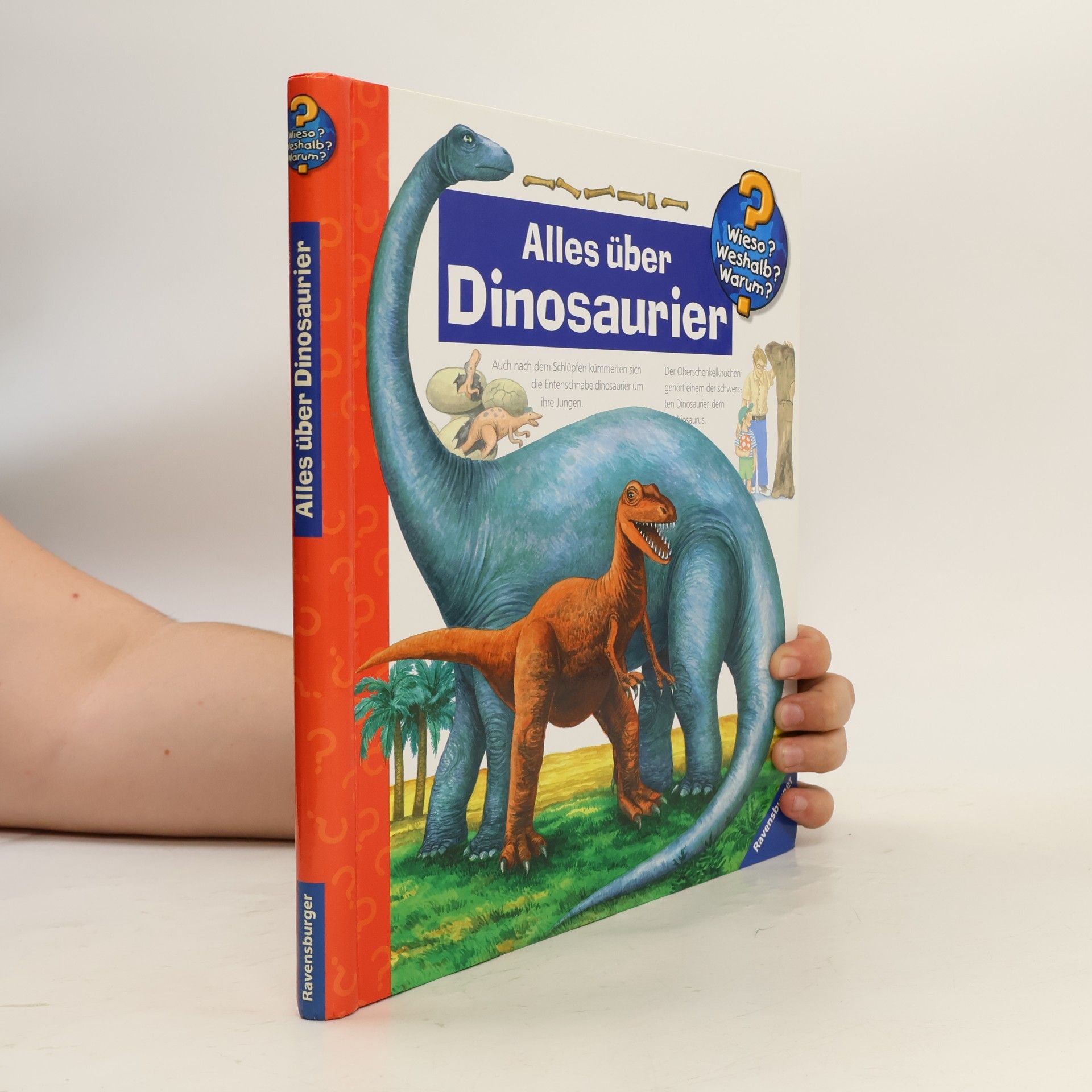 Patricia Mennen Alles über Dinosaurier
