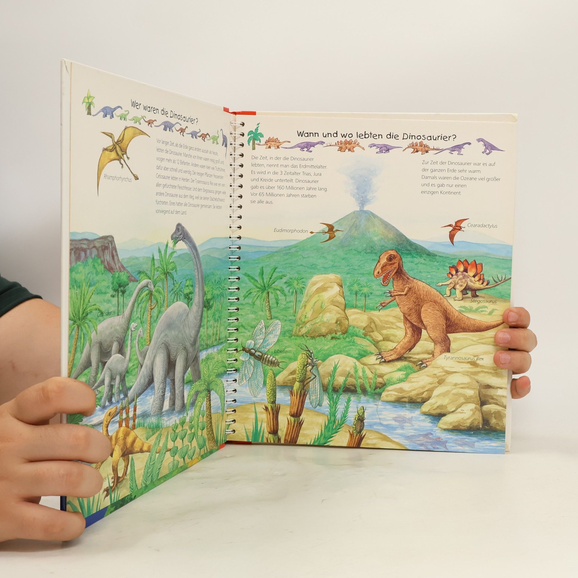 Patricia Mennen Alles über Dinosaurier