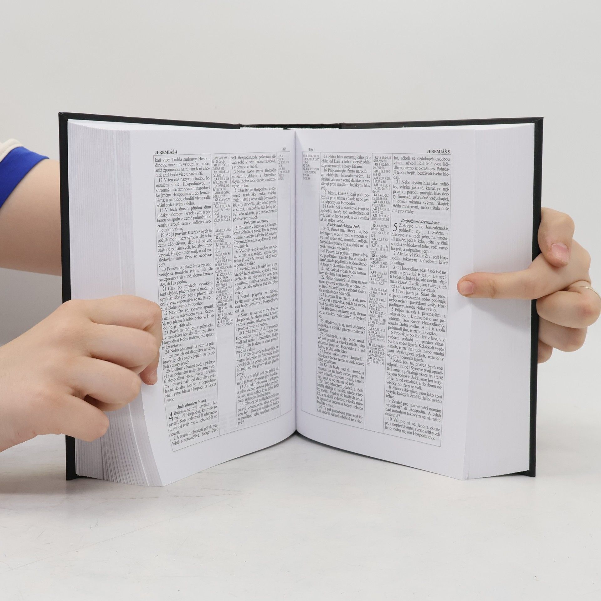 kolektiv Studijní Bible