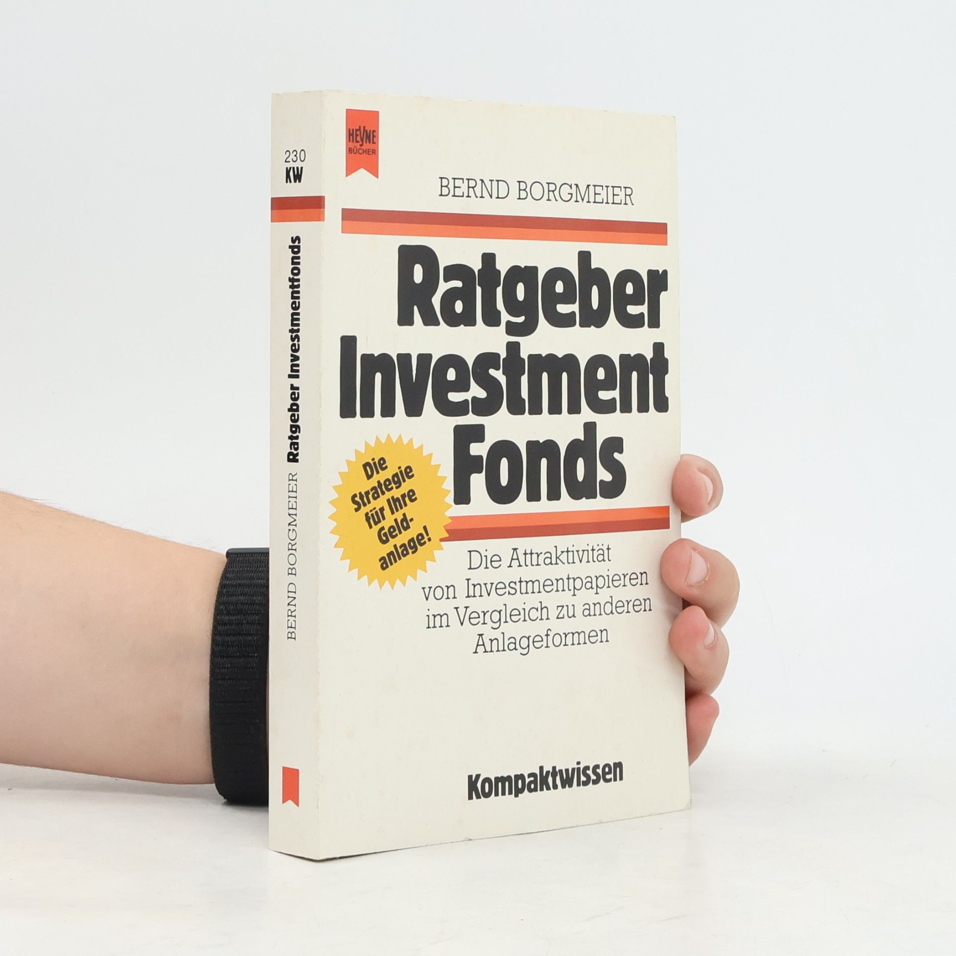 Bernd Borgmeier Ratgeber Investment-Fonds