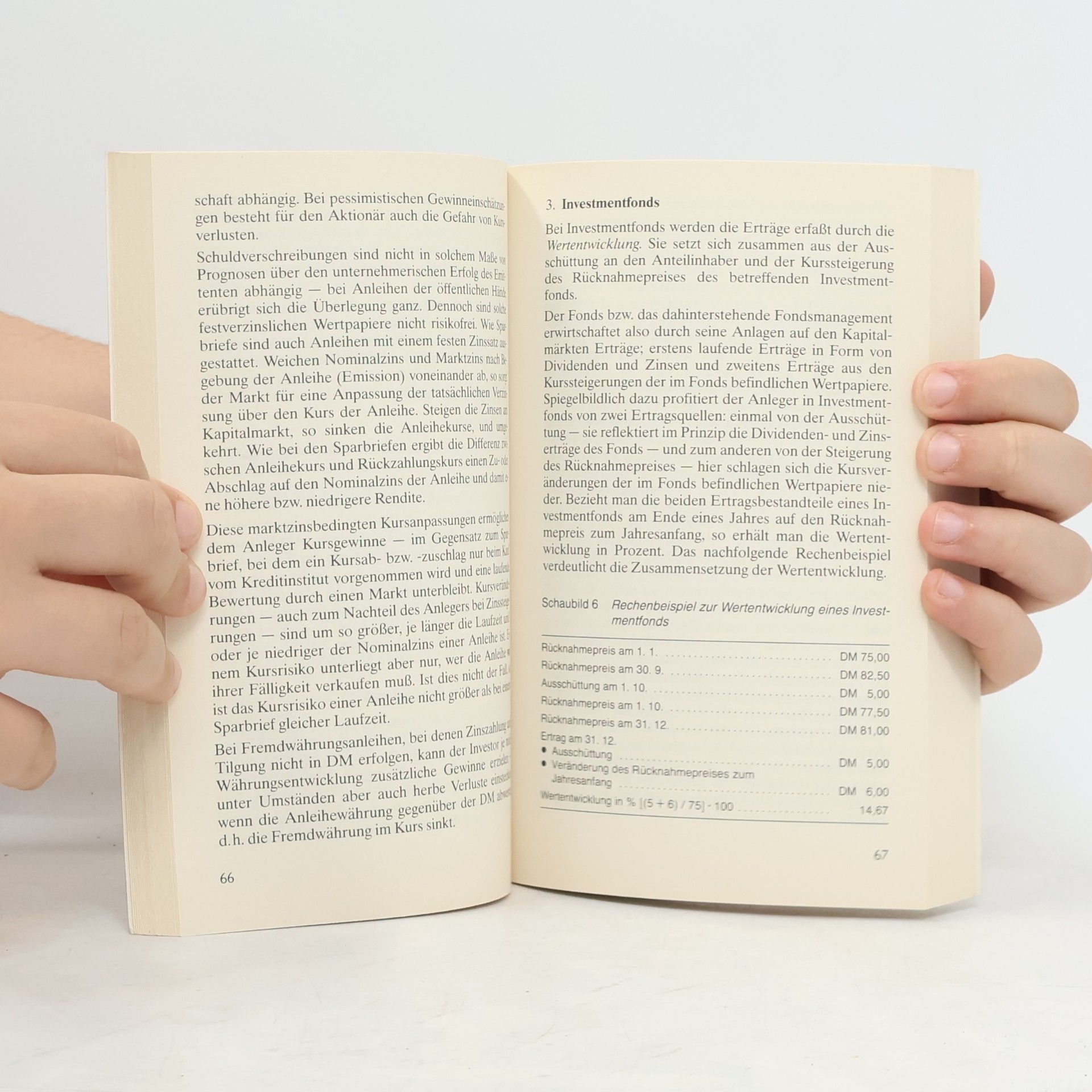 Bernd Borgmeier Ratgeber Investment-Fonds