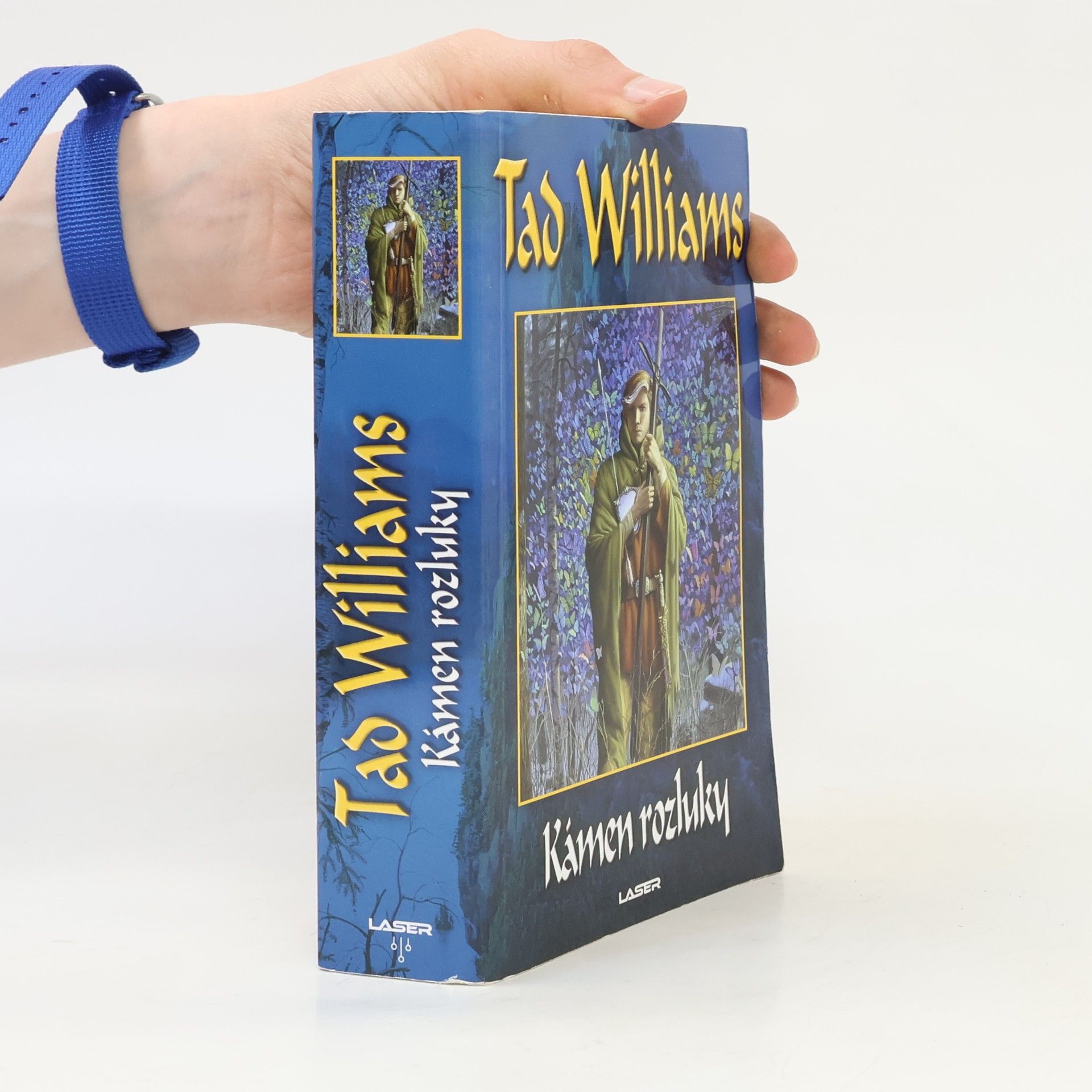 Tad Williams Kámen rozluky