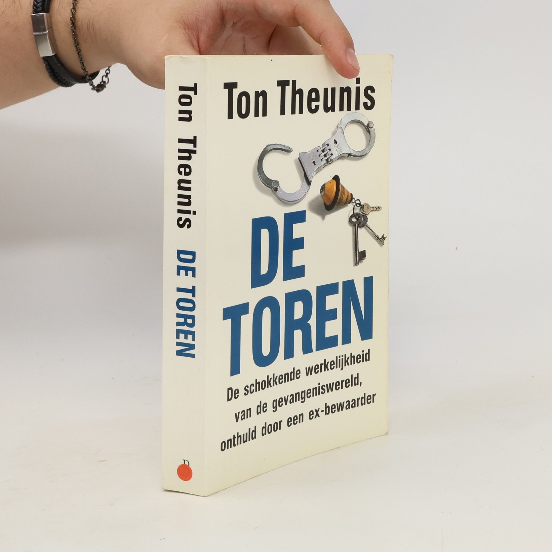 Ton Theunis De toren