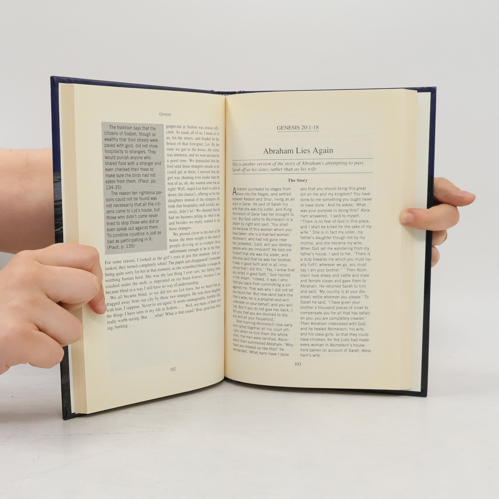 Michael Edward Williams The Storyteller's Companion to the Bible, Volume one : Genesis