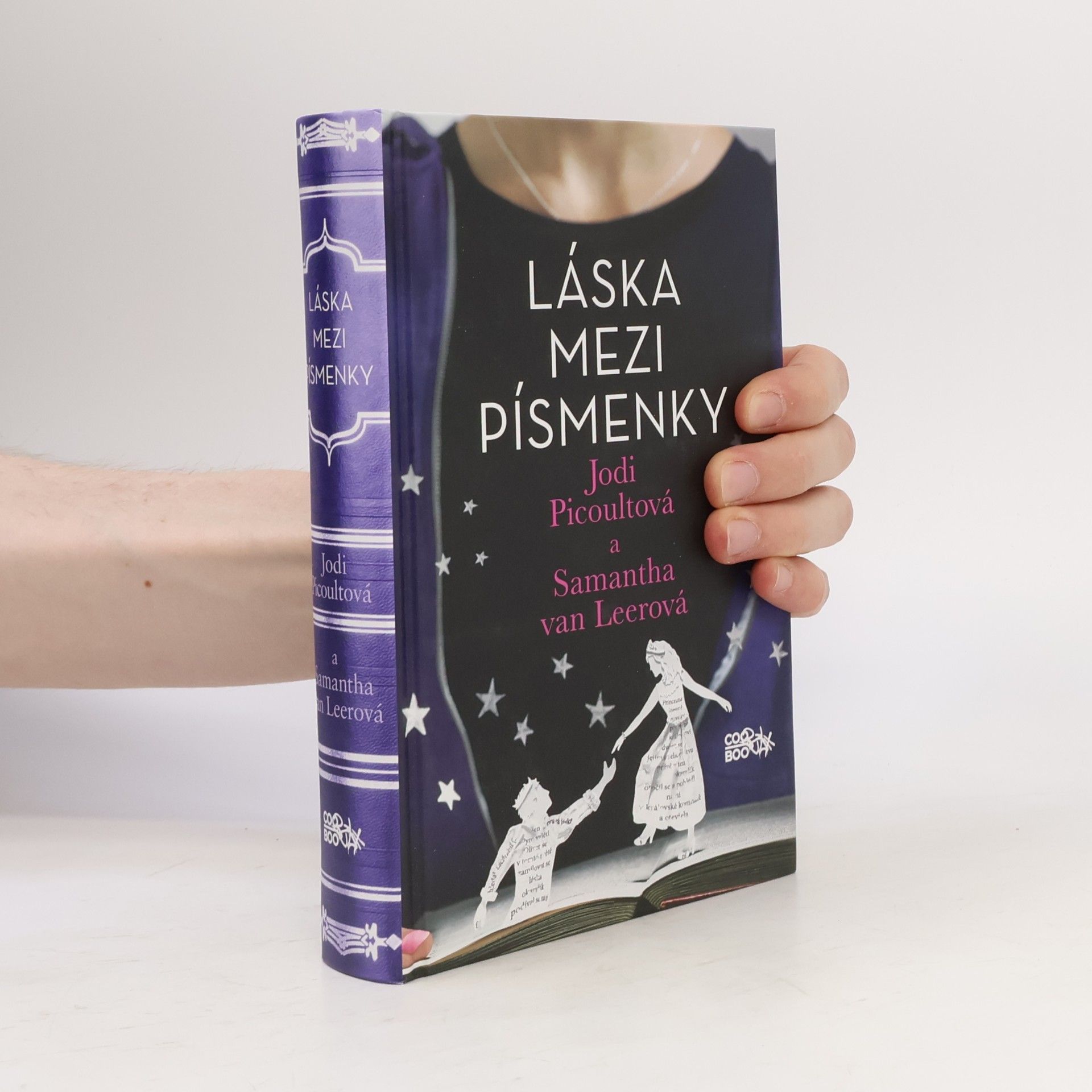 Jodi Picoult Láska mezi písmenky