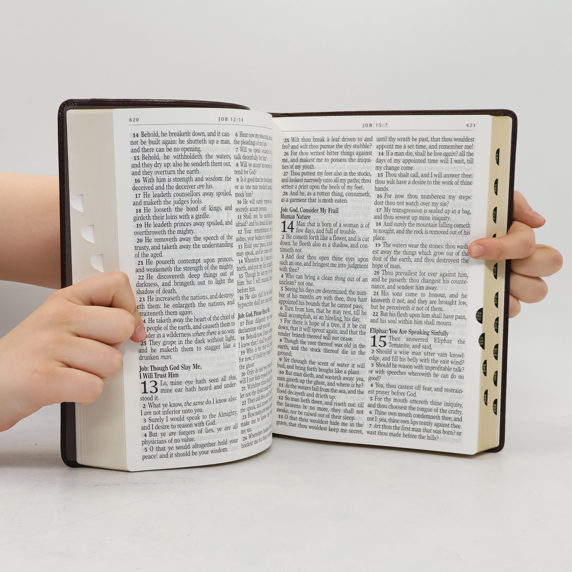 Autorenkollektiv Holy Bible