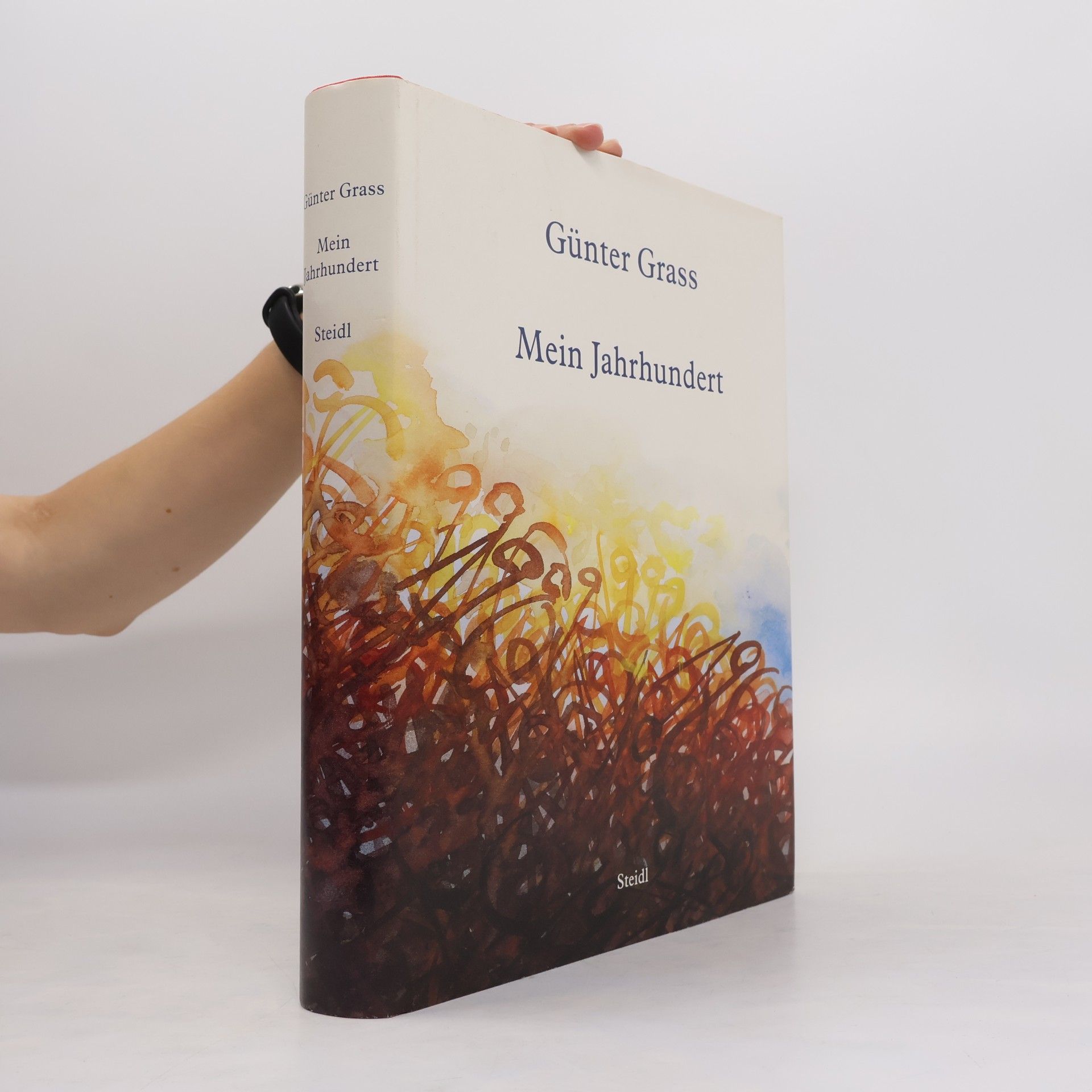Günter Grass Mein Jahrhundert