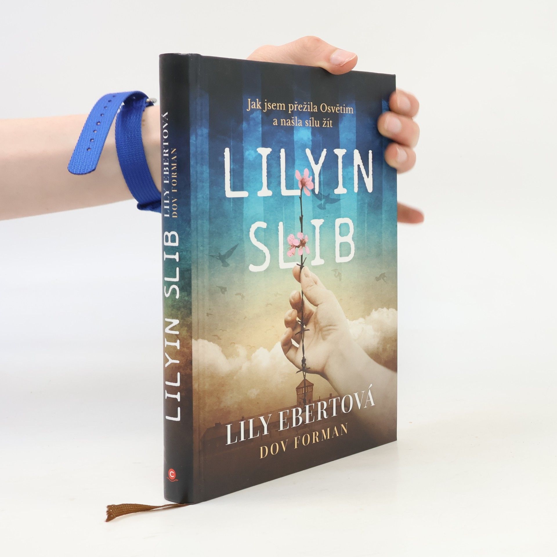 Lily Ebert Lilyin slib