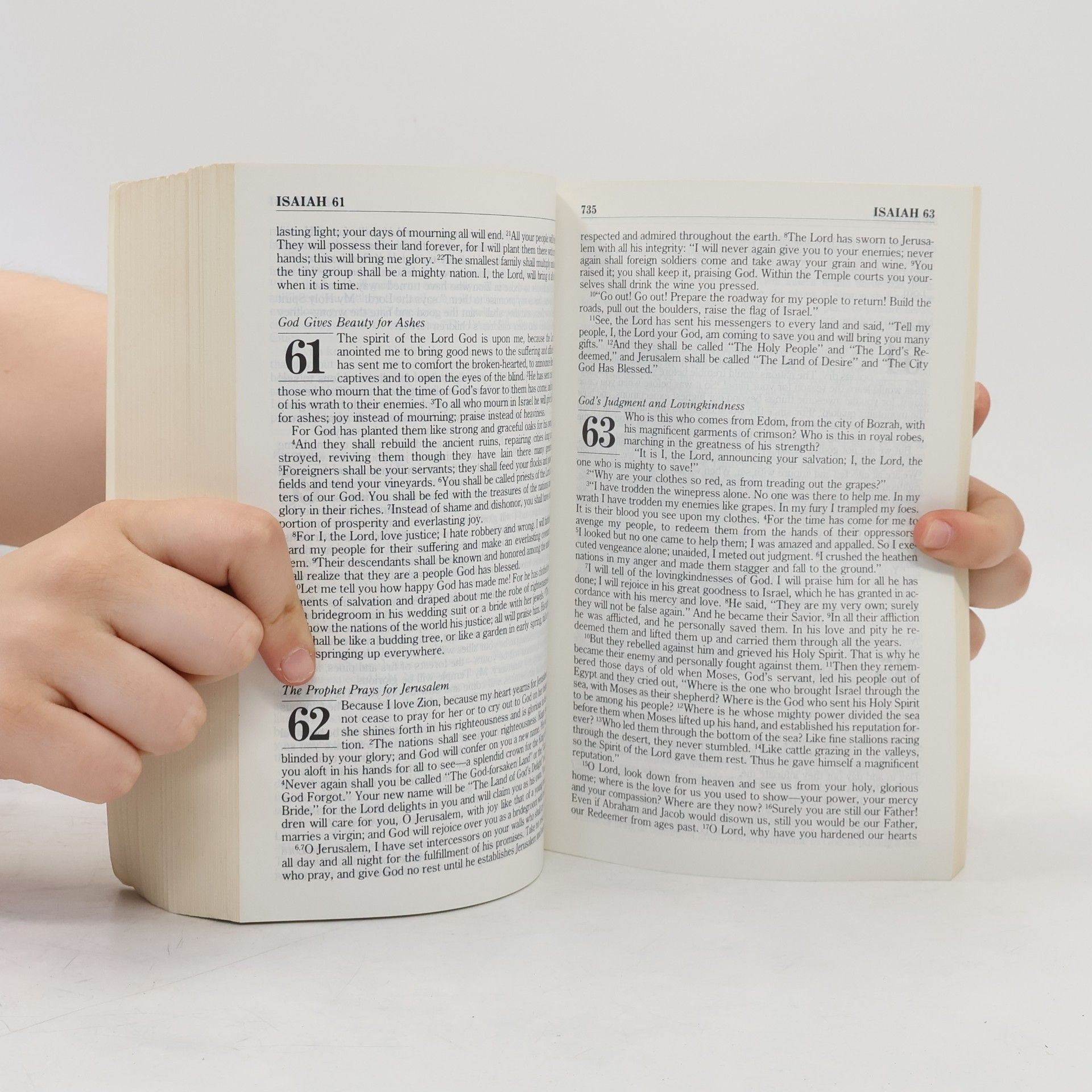 Various authors The Living Bible