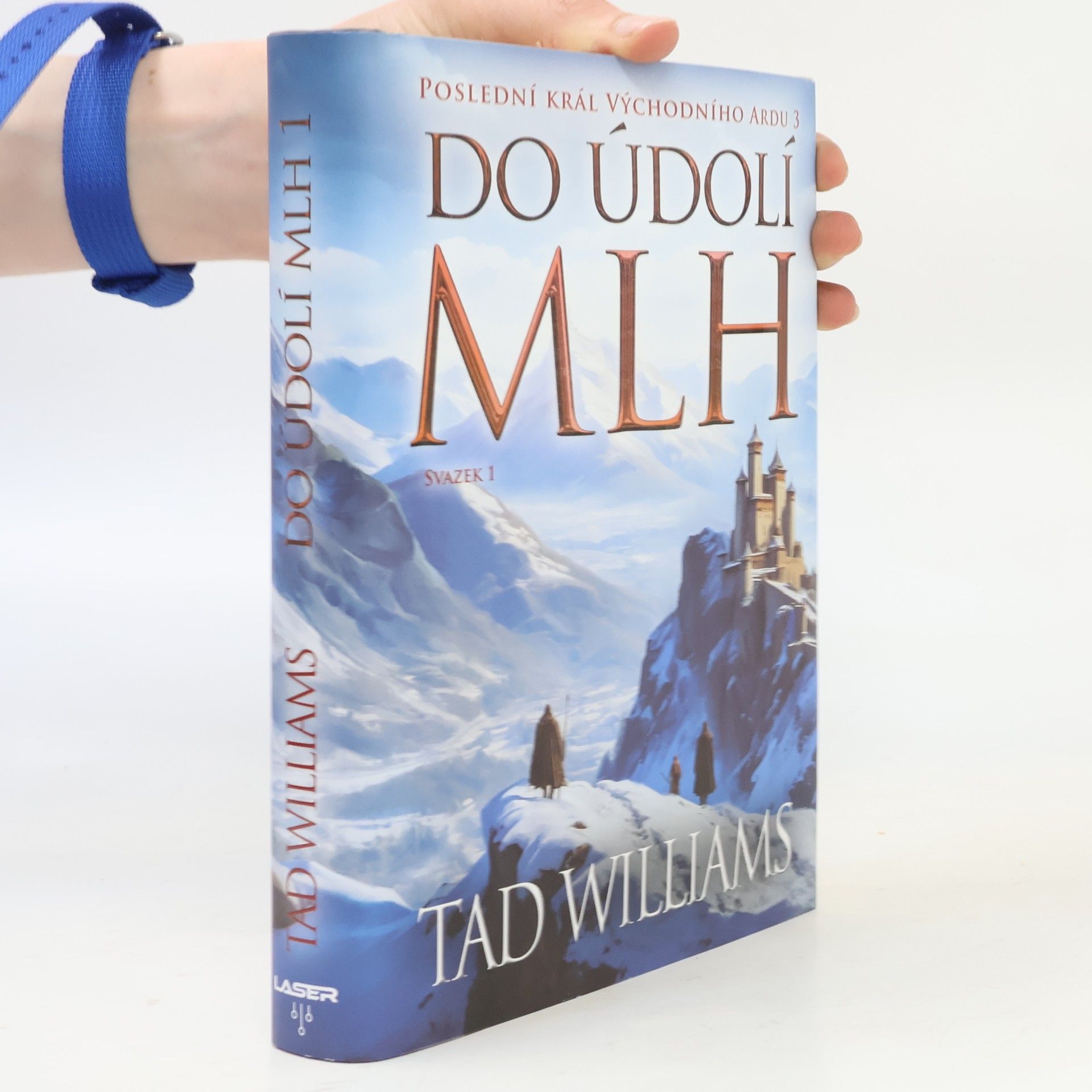Tad Williams Do údolí mlh