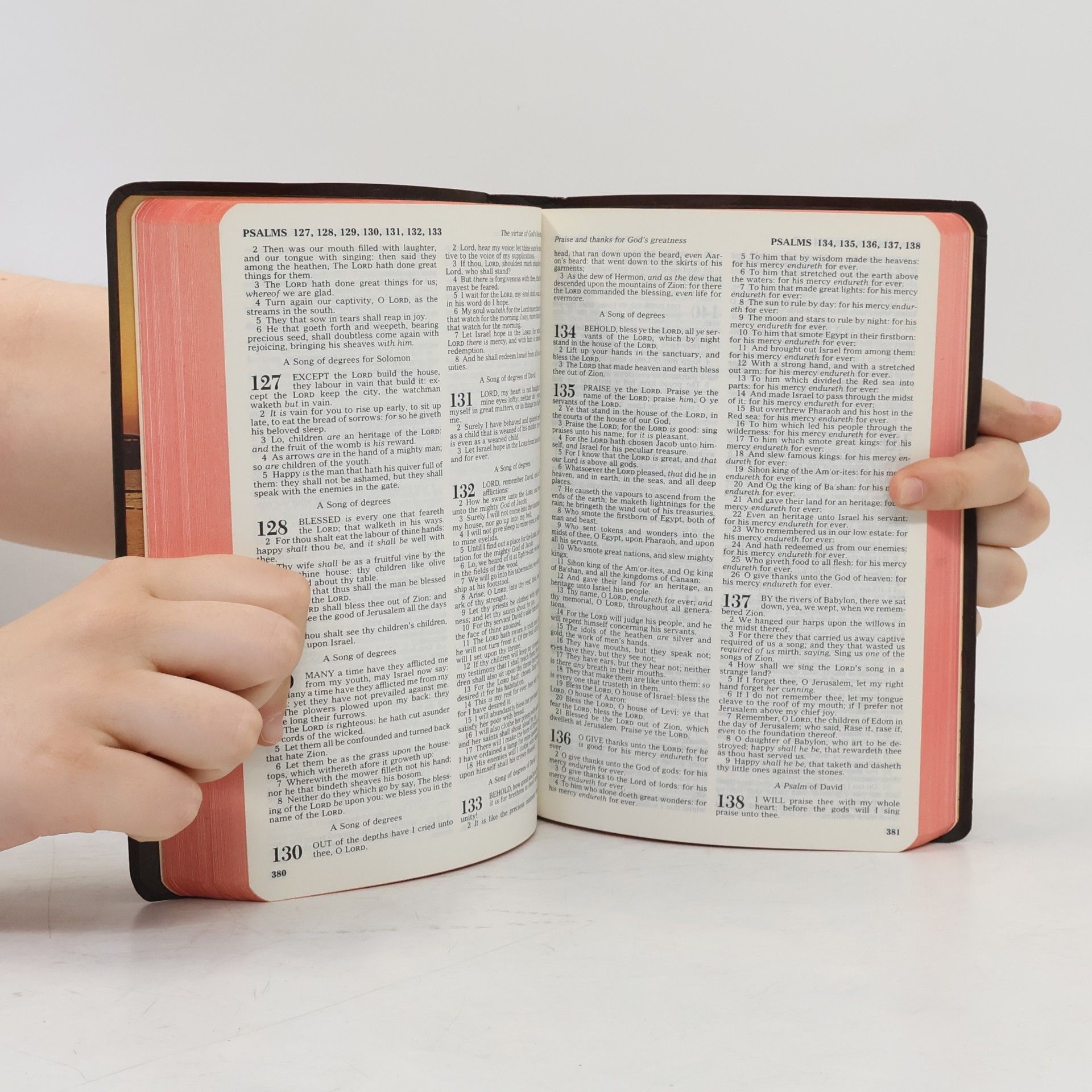 Autorenkollektiv Holy Bible. Dictionary Concordance