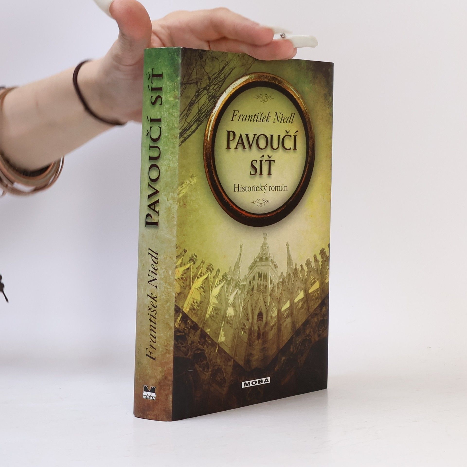 František Niedl Pavoučí síť : historický román