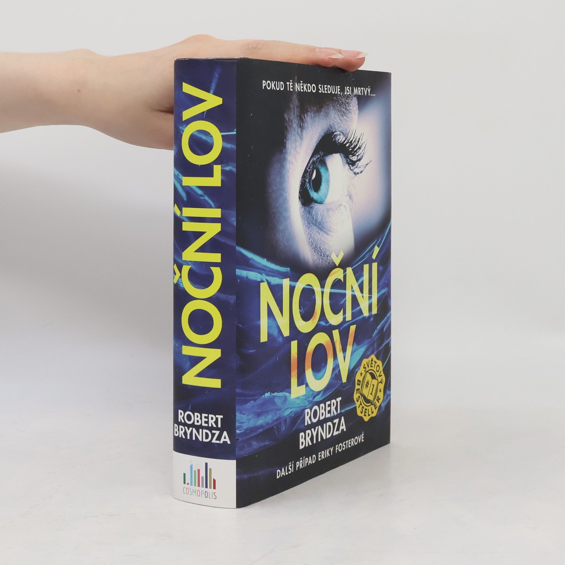 Robert Bryndza Noční lov
