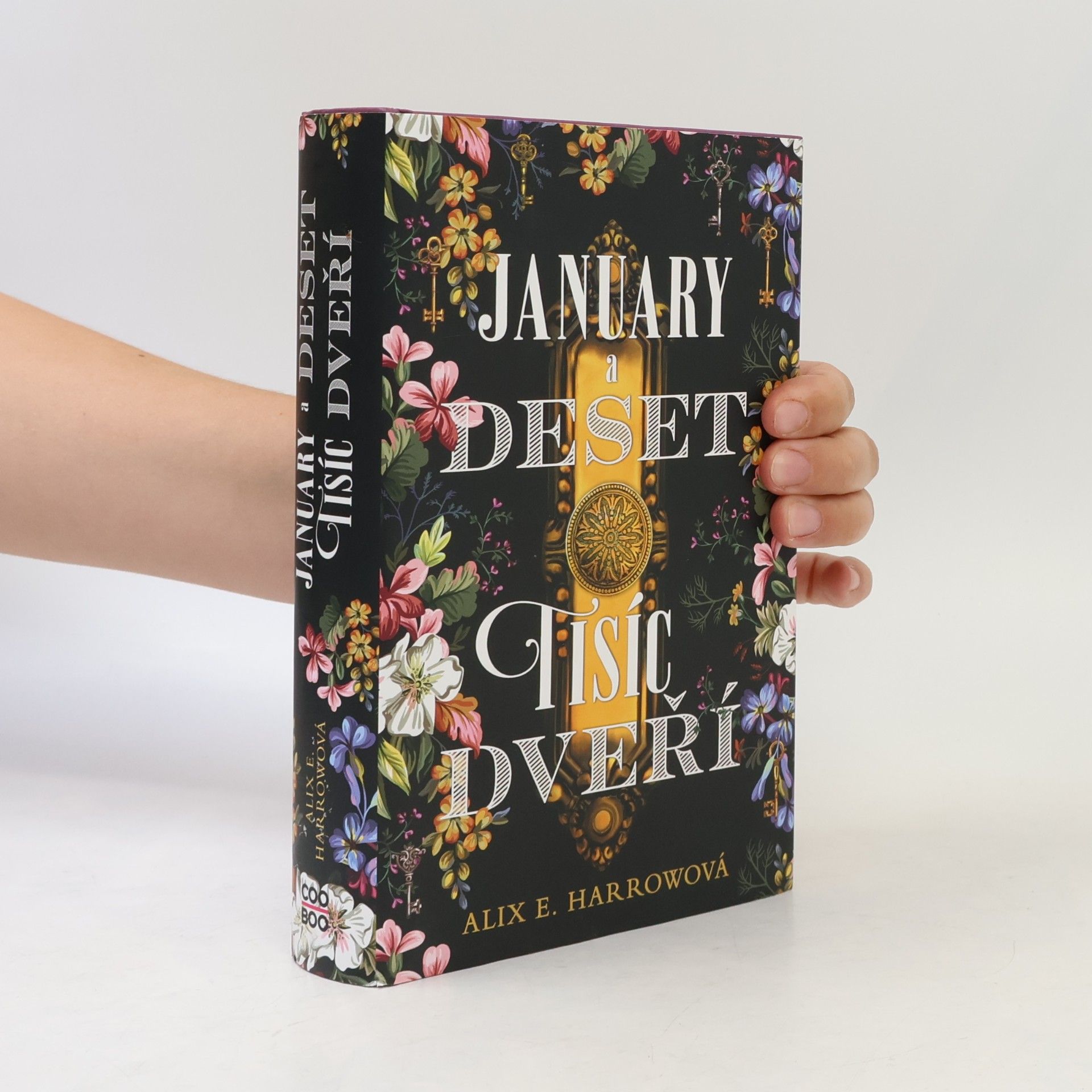 Alix E. Harrow January a Deset tisíc dveří