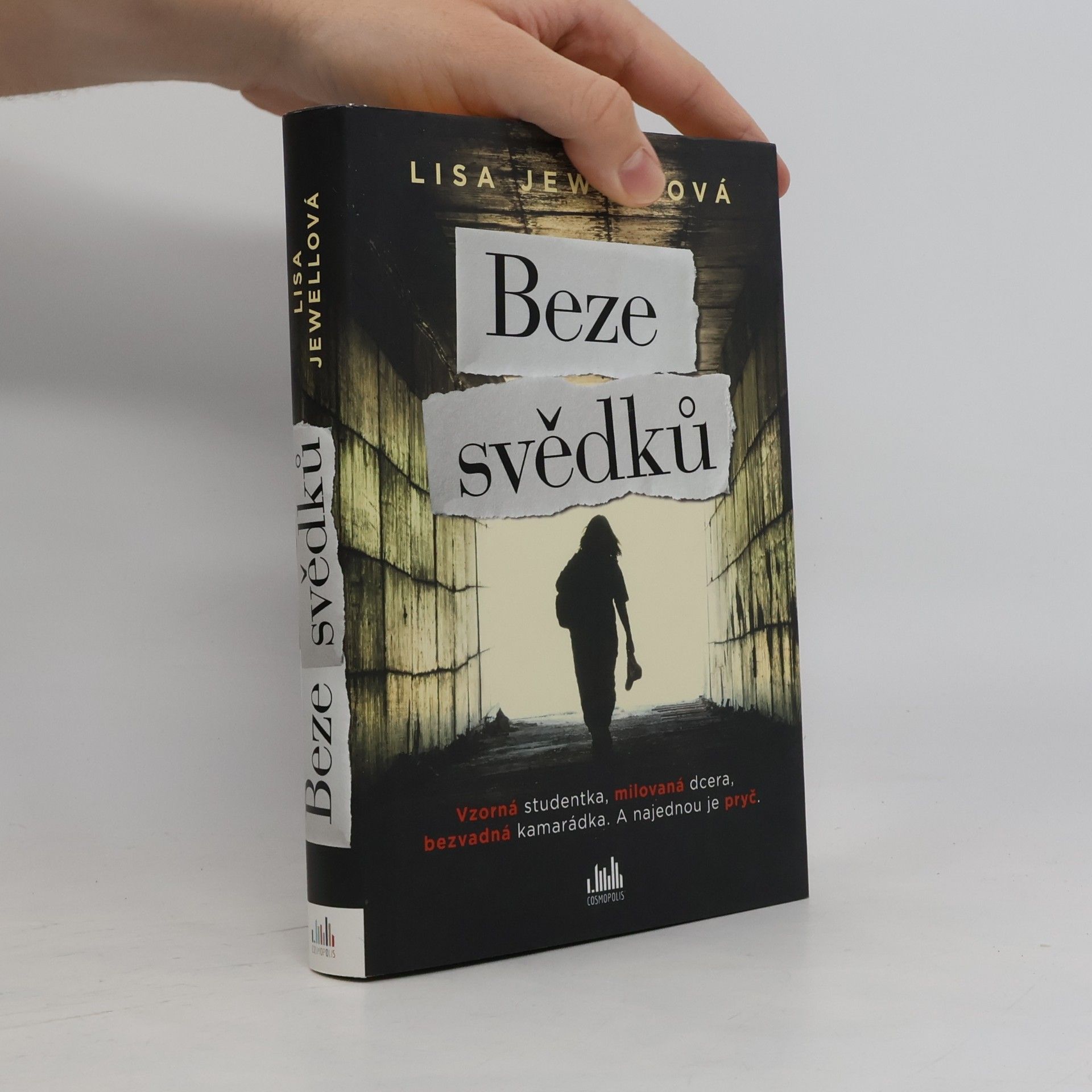 Lisa Jewell Beze svědků
