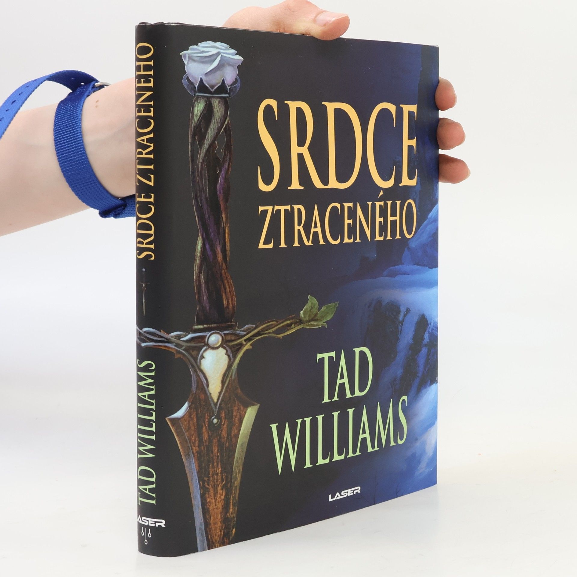 Tad Williams Srdce ztraceného