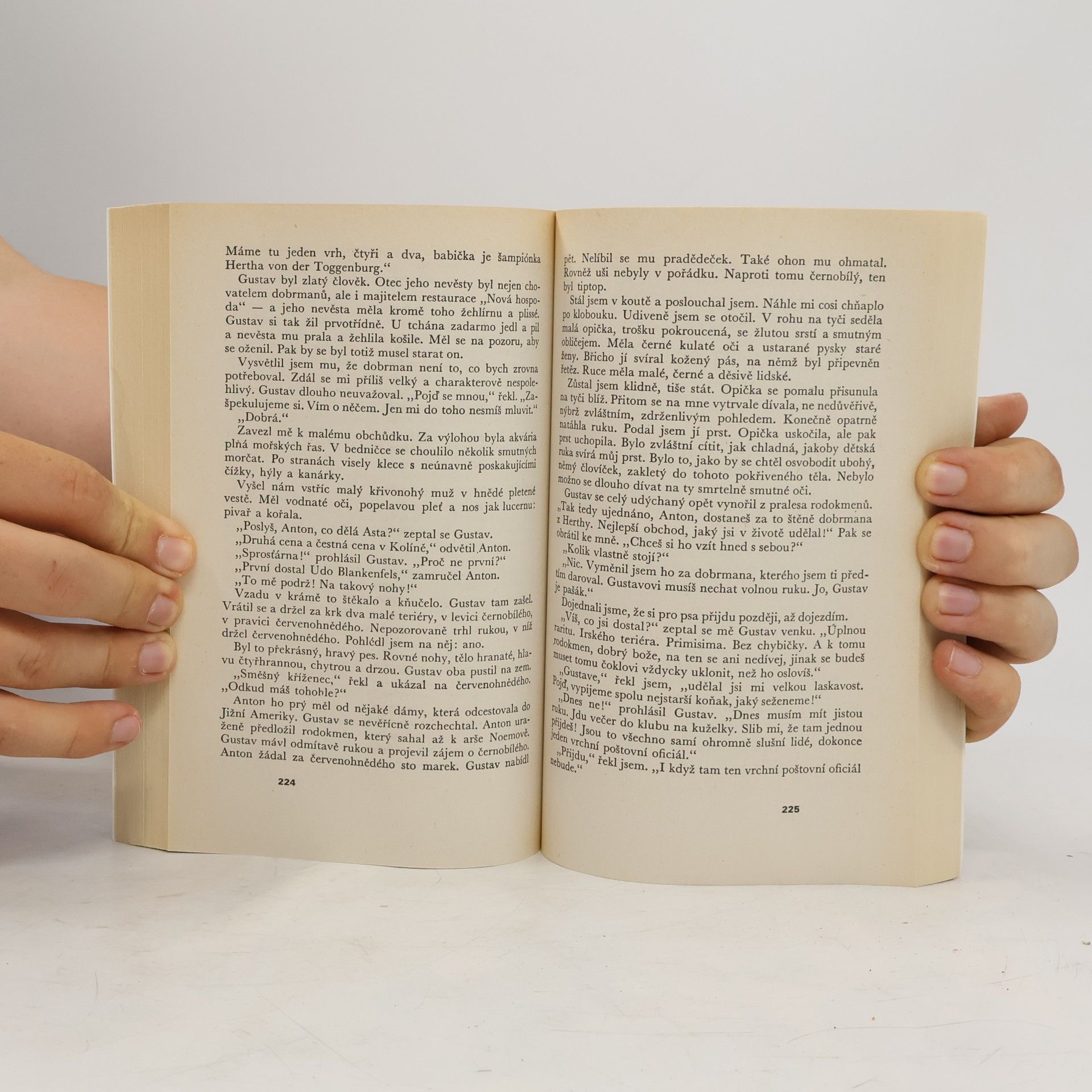 Erich Maria Remarque Tři kamarádi