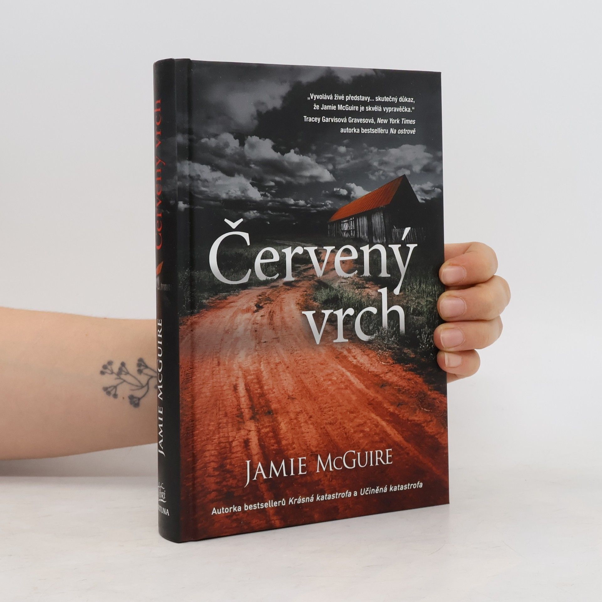 Jamie McGuire Červený vrch