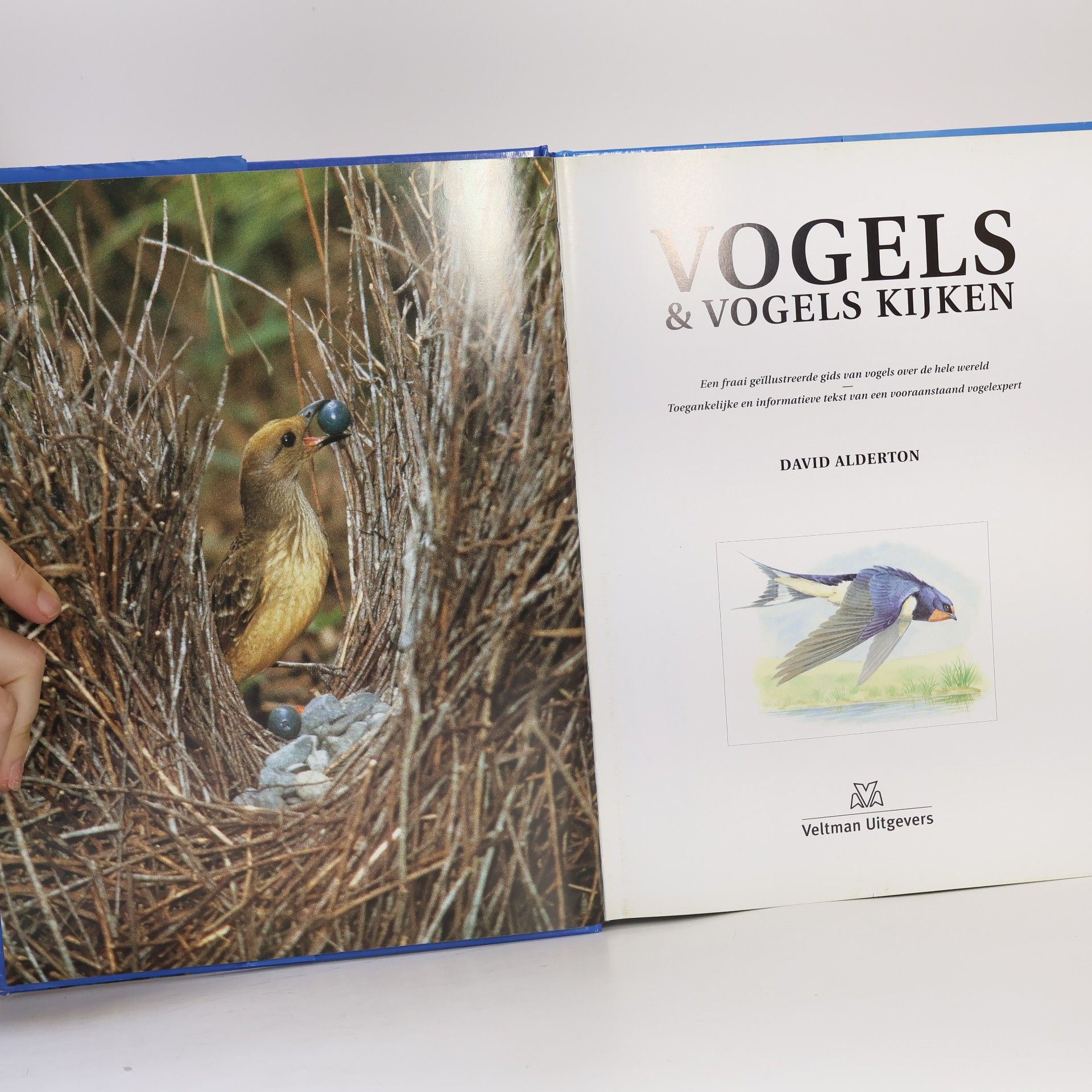 David Alderton Vogels en vogels kijken