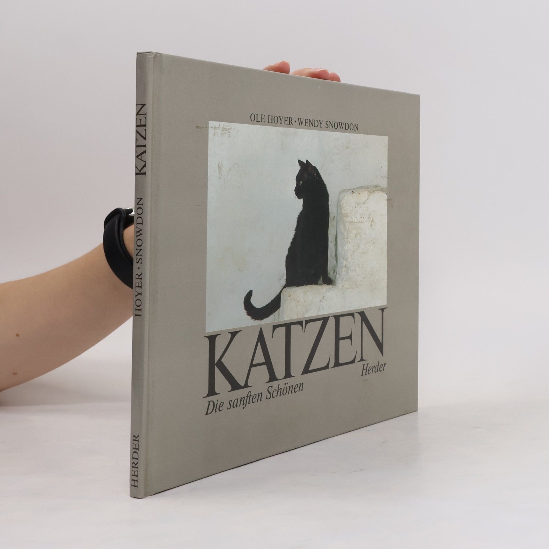 Ole Hoyer Katzen