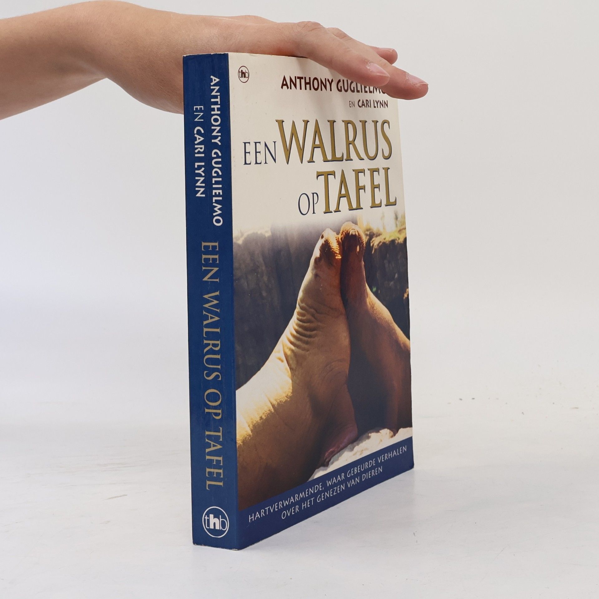 Een walrus op tafel
