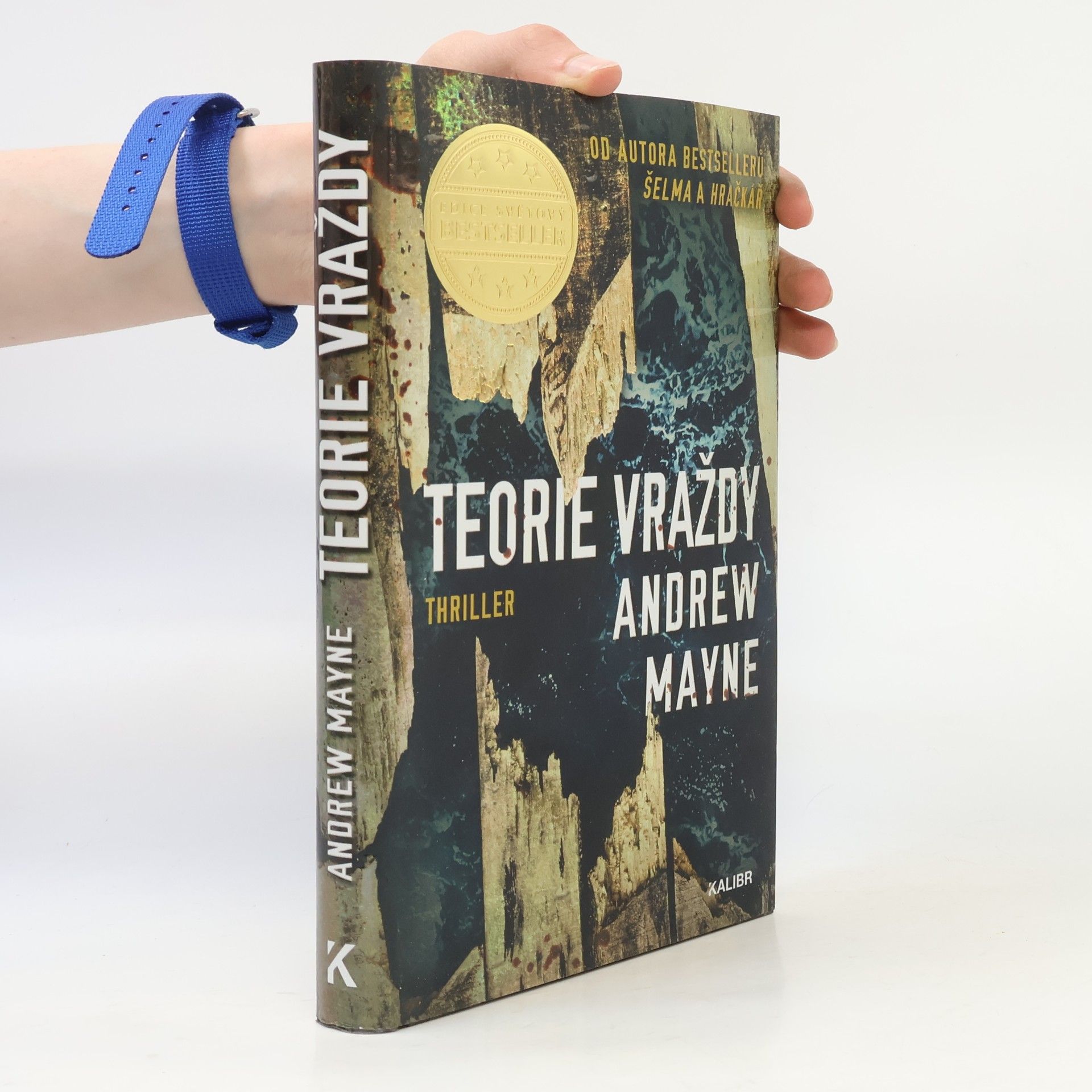 Andrew Mayne Teorie vraždy