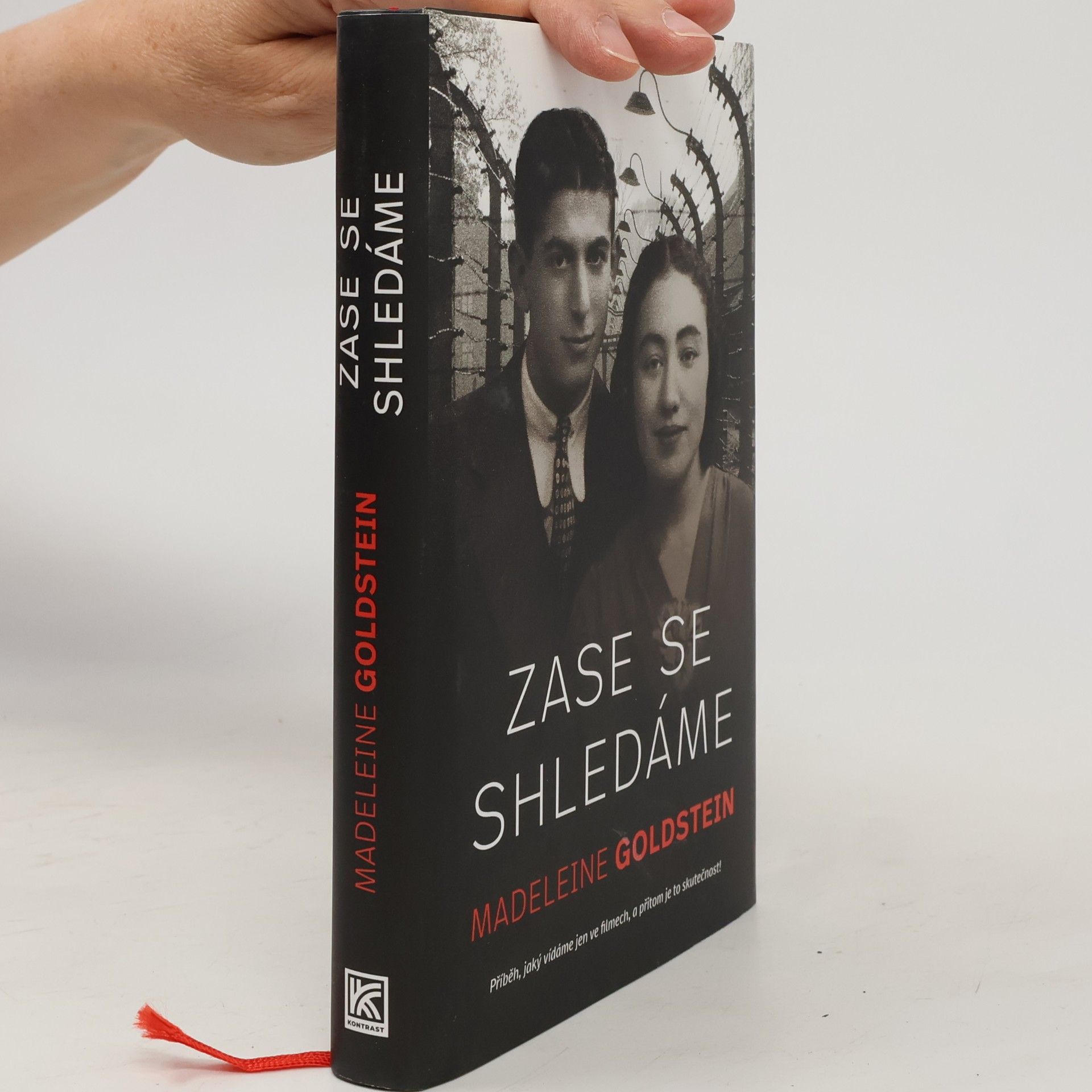 Madeleine Goldstein Zase se shledáme