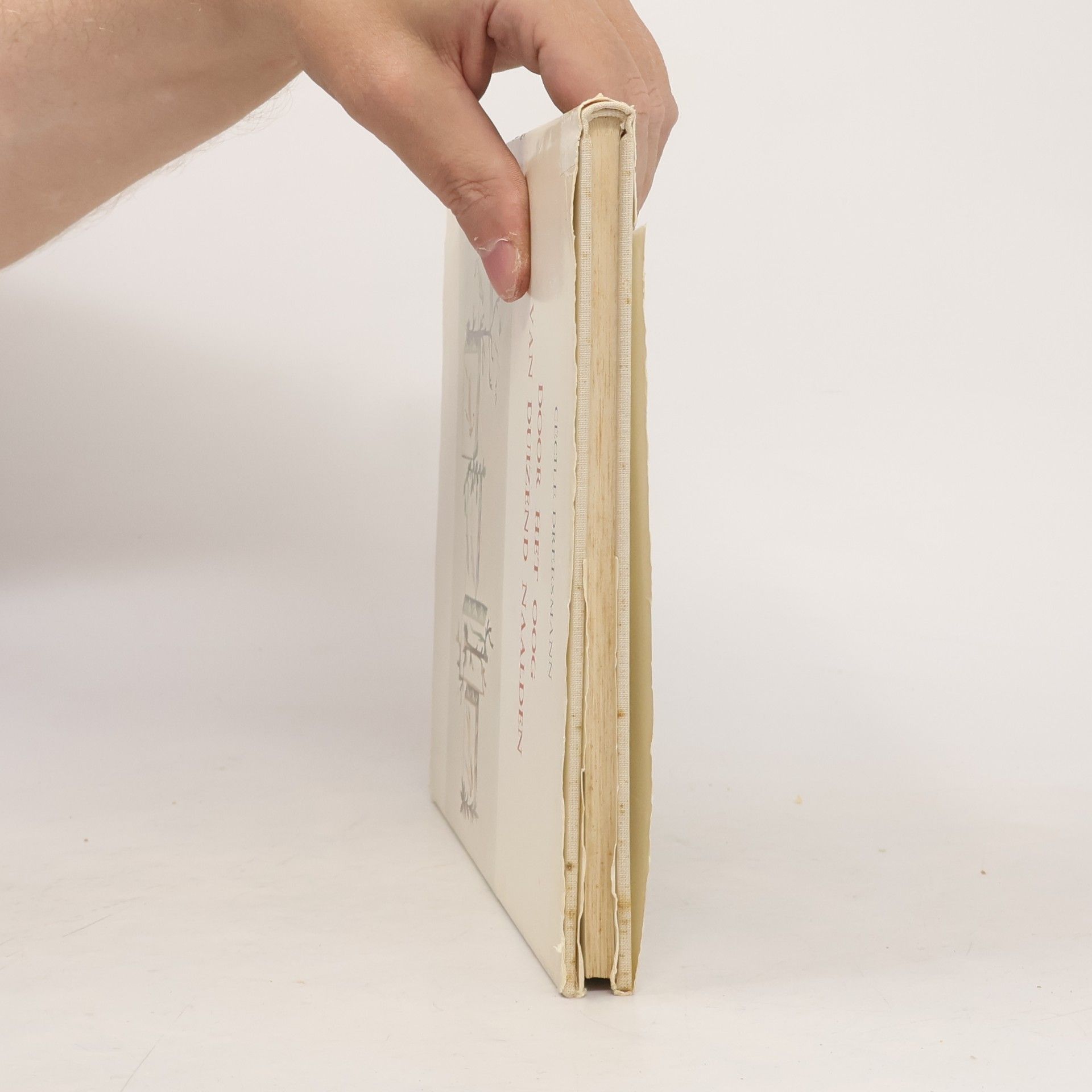 Cécile Dreesmann Forum boeken: Door het oog van duizend naalden