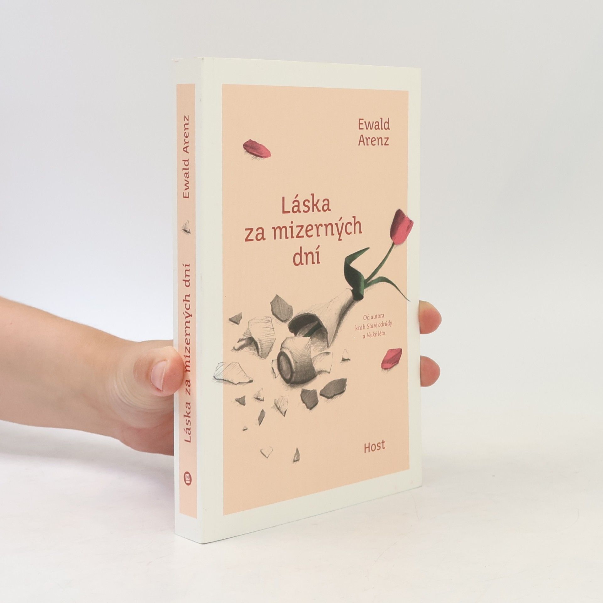 Ewald Arenz Láska za mizerných dní