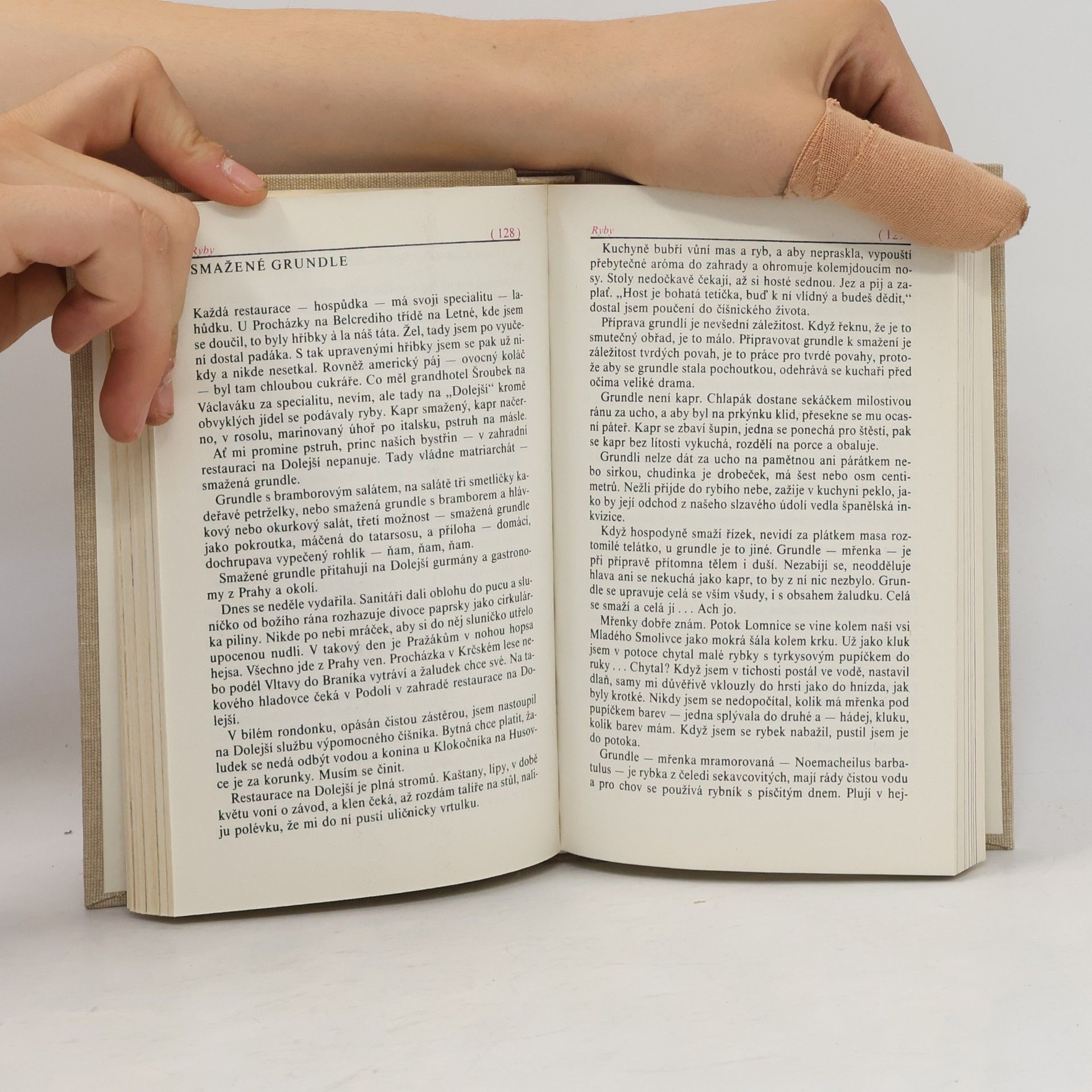 Jaroslava Jiskrová Kuchařské recepty vypsané z krásné literatury