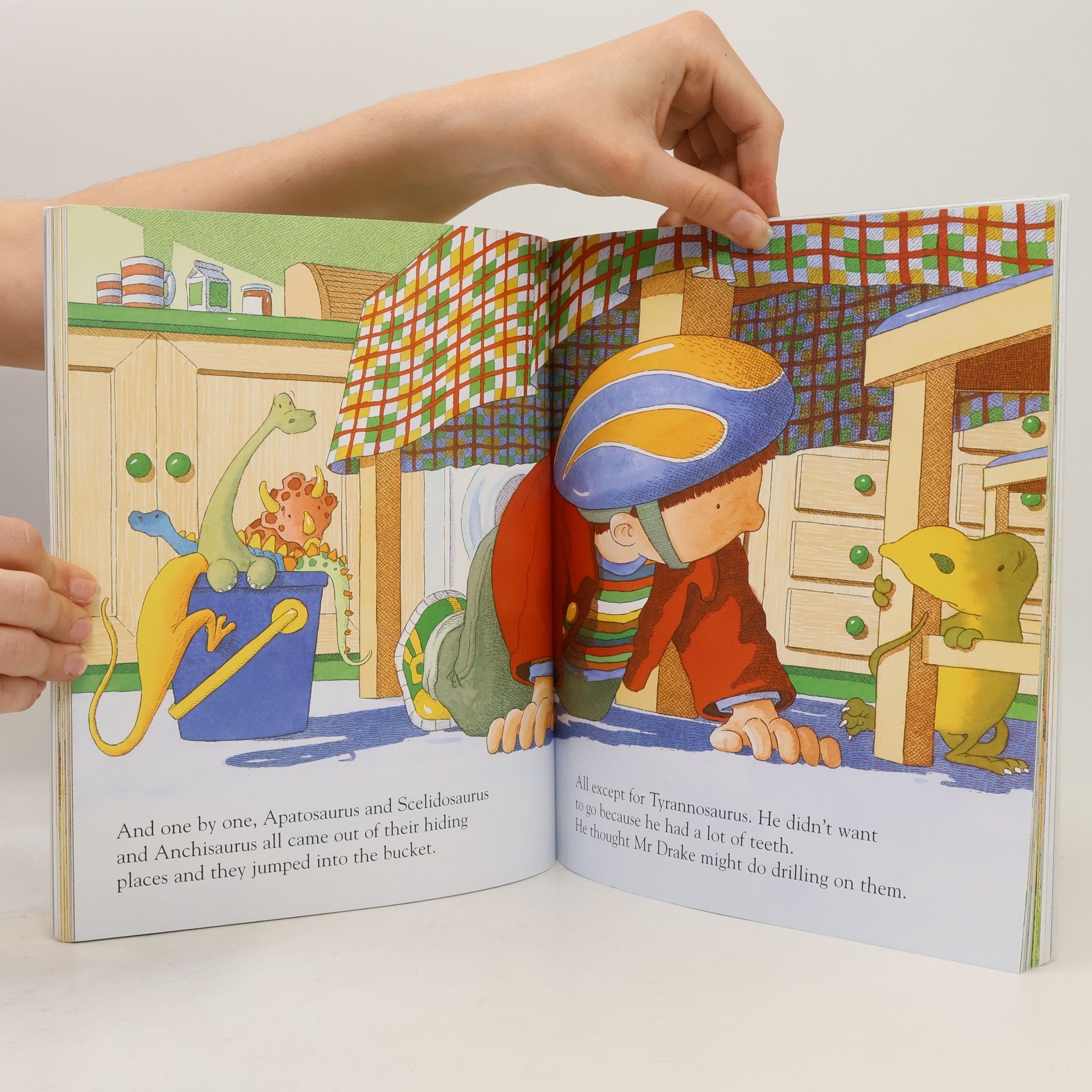 Ian Whybrow Harry and the Dinosaurs and the Bucketful of Stories