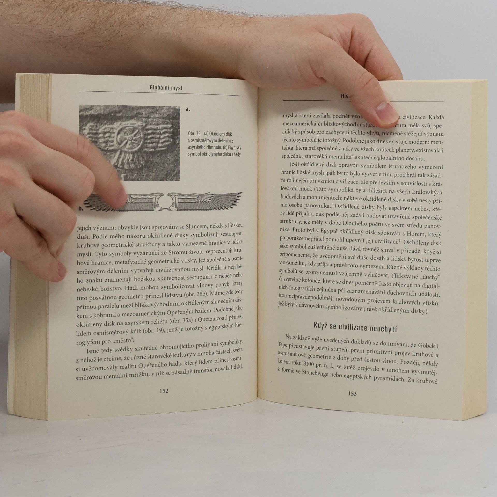 Carl Johan Calleman Globální mysl a počátek civilizace