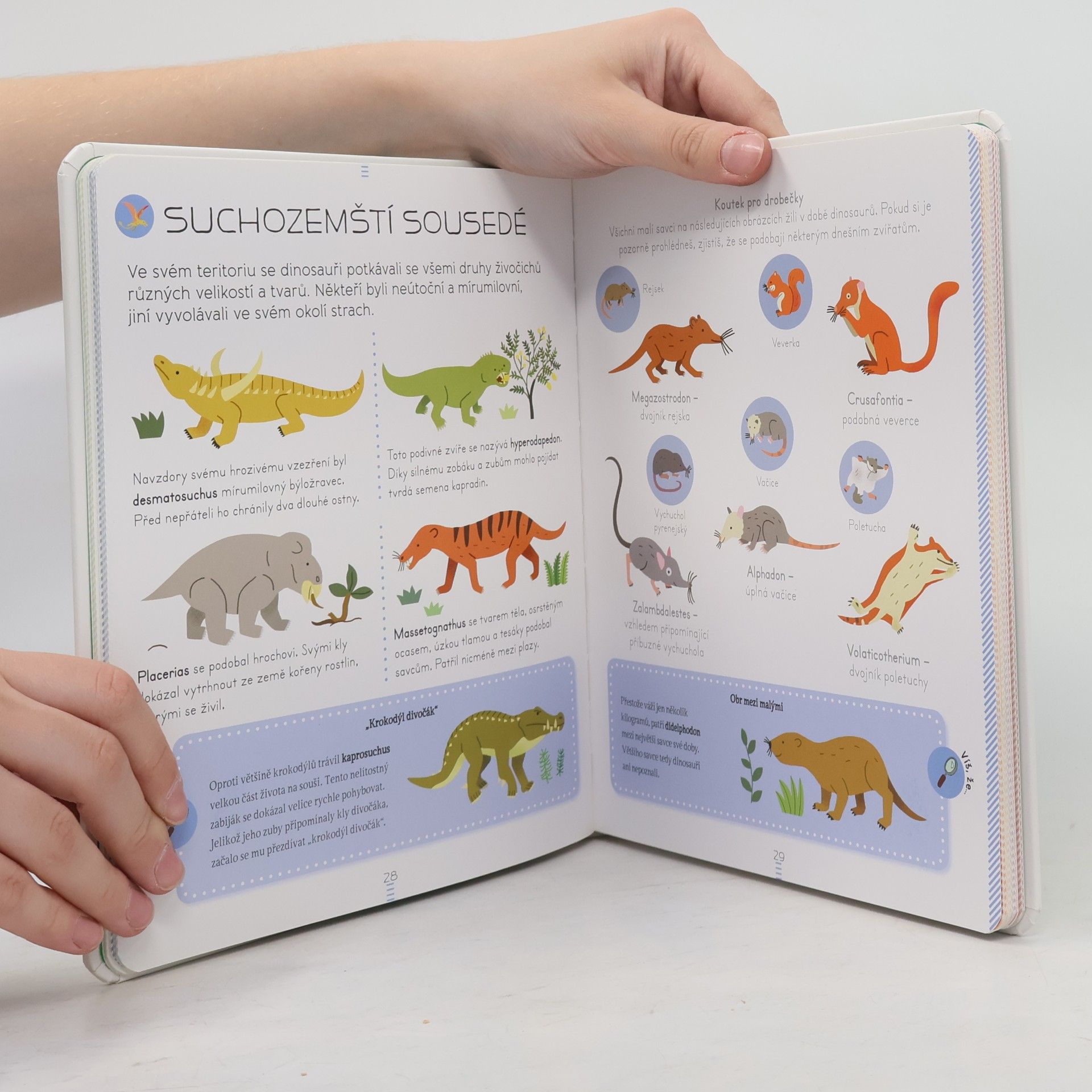Sylvie Bézuel Encyklopedie Larousse - Dinosauři