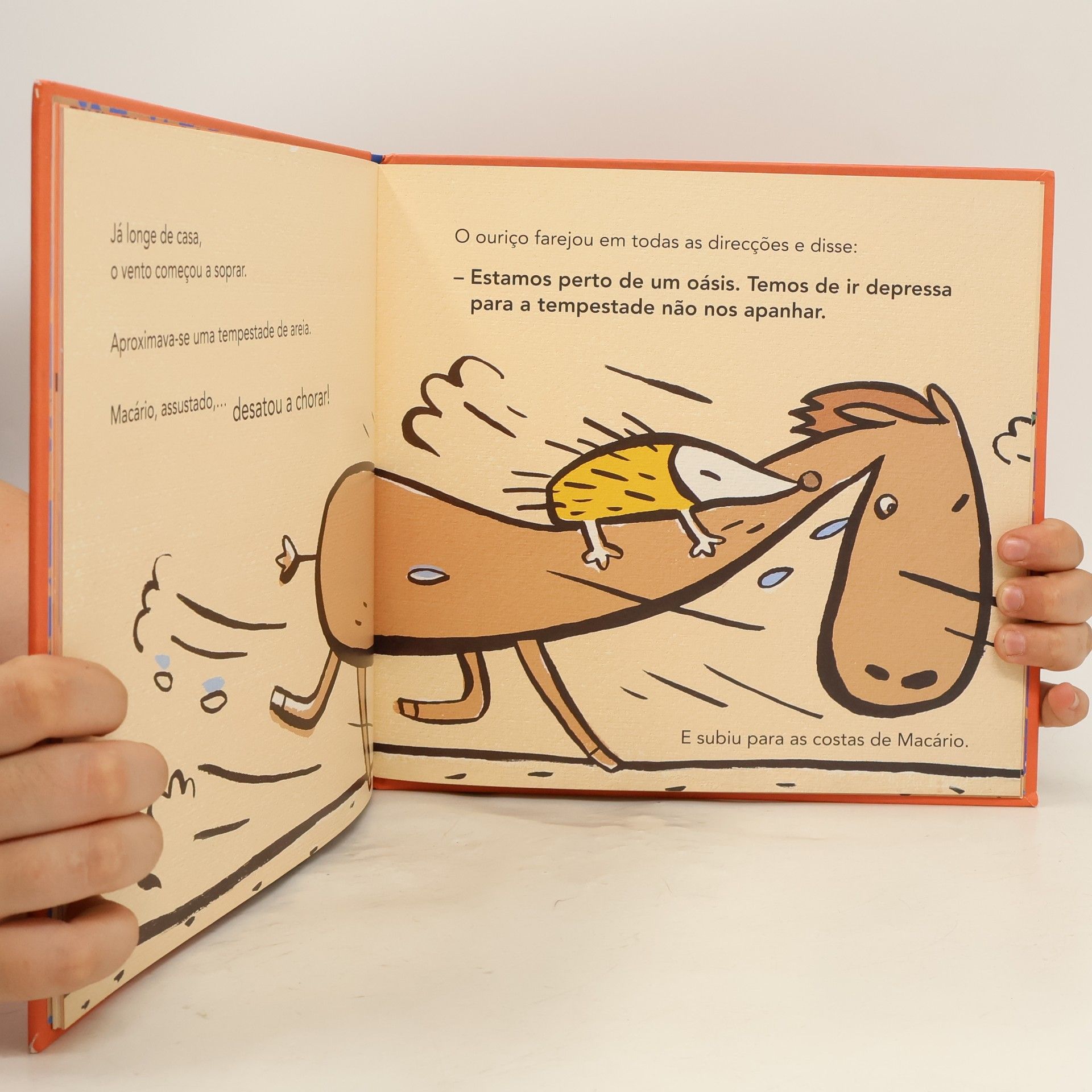Rachel Chaundler colección O: Macário Dromedário