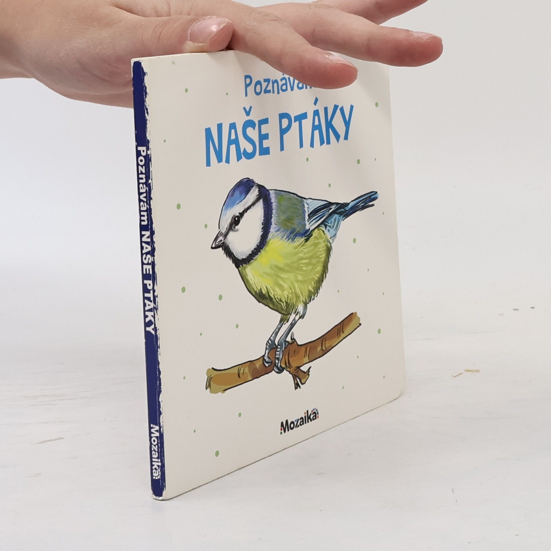 Autorenkollektiv Poznávám naše ptáky
