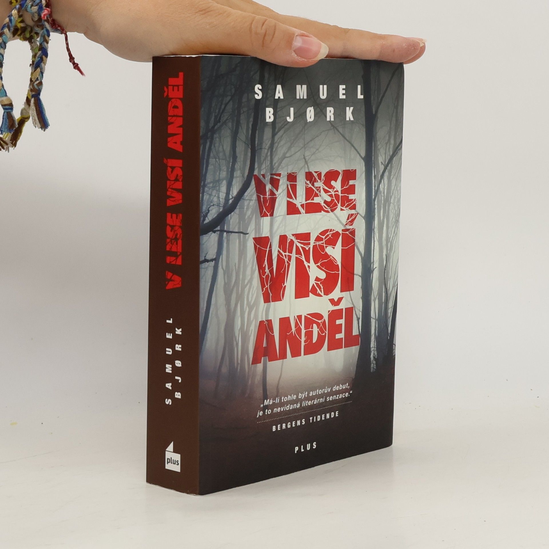 Samuel Bjork V lese visí anděl