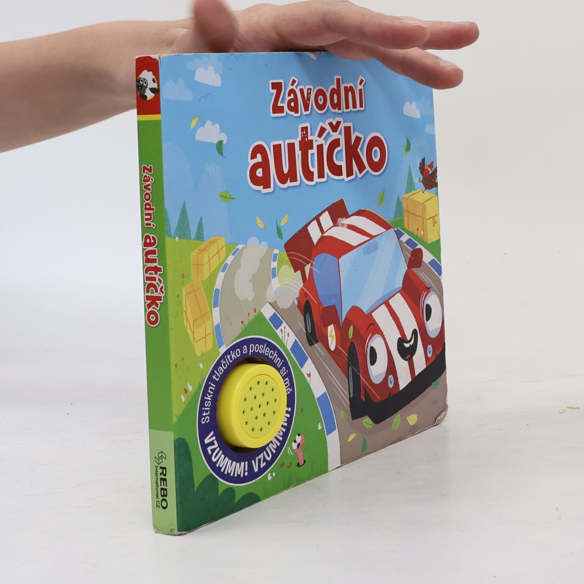 Anna Řebíčková Závodní autíčko