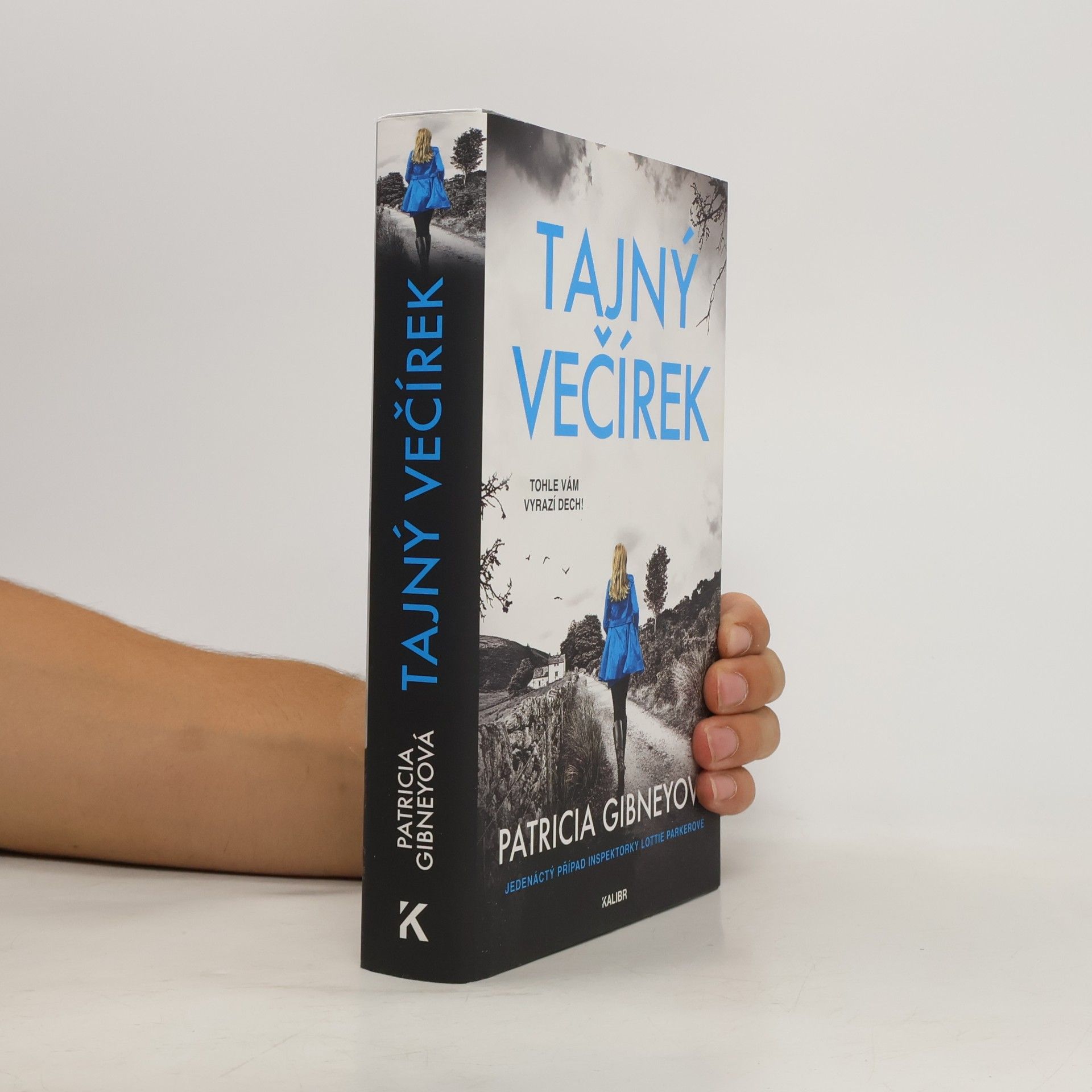 Patricia Gibney Tajný večírek