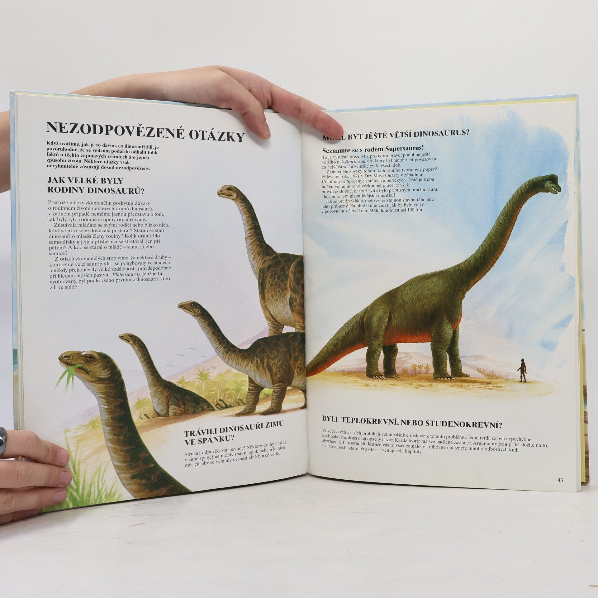 Autorenkollektiv Svět dinosaurů