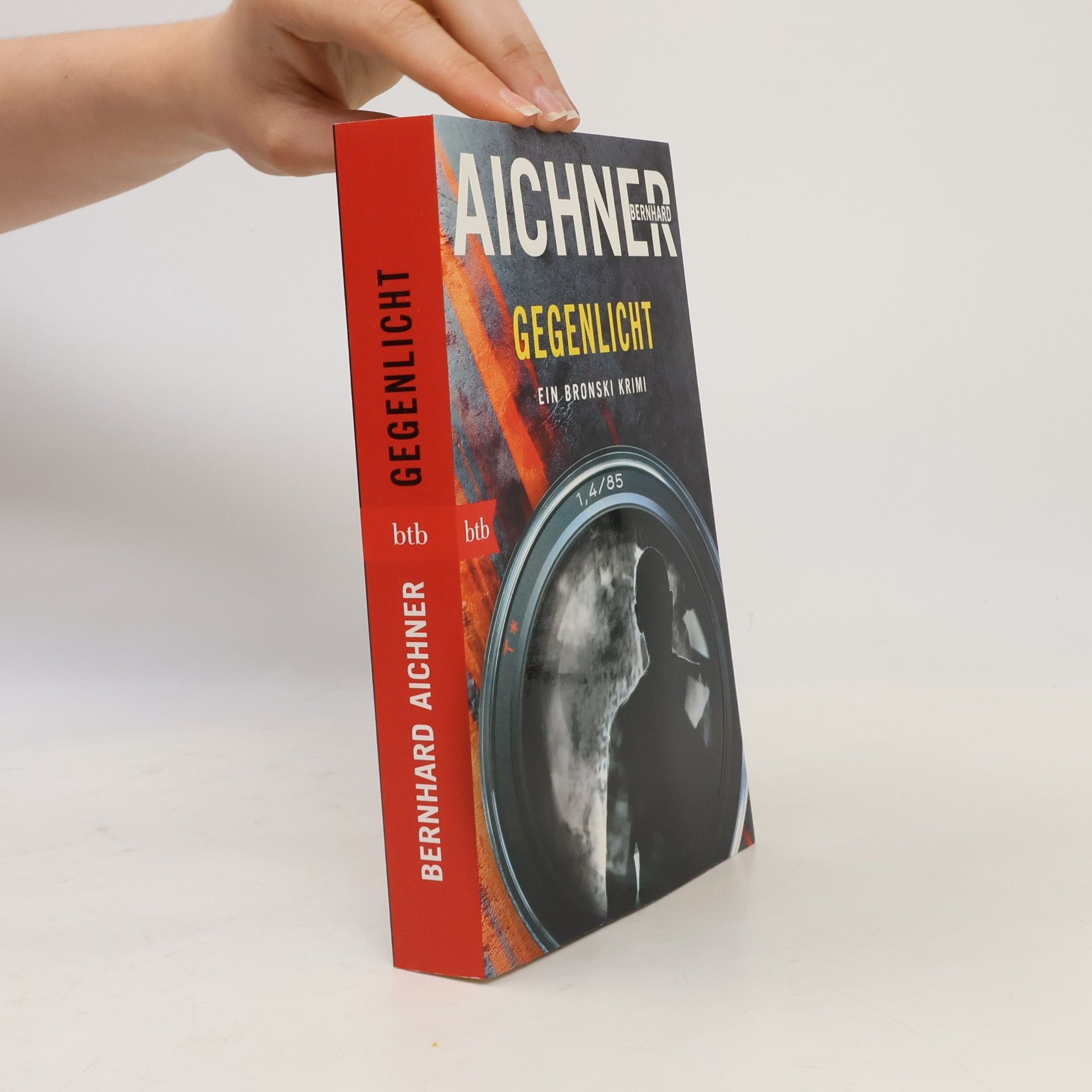Bernhard Aichner Gegenlicht