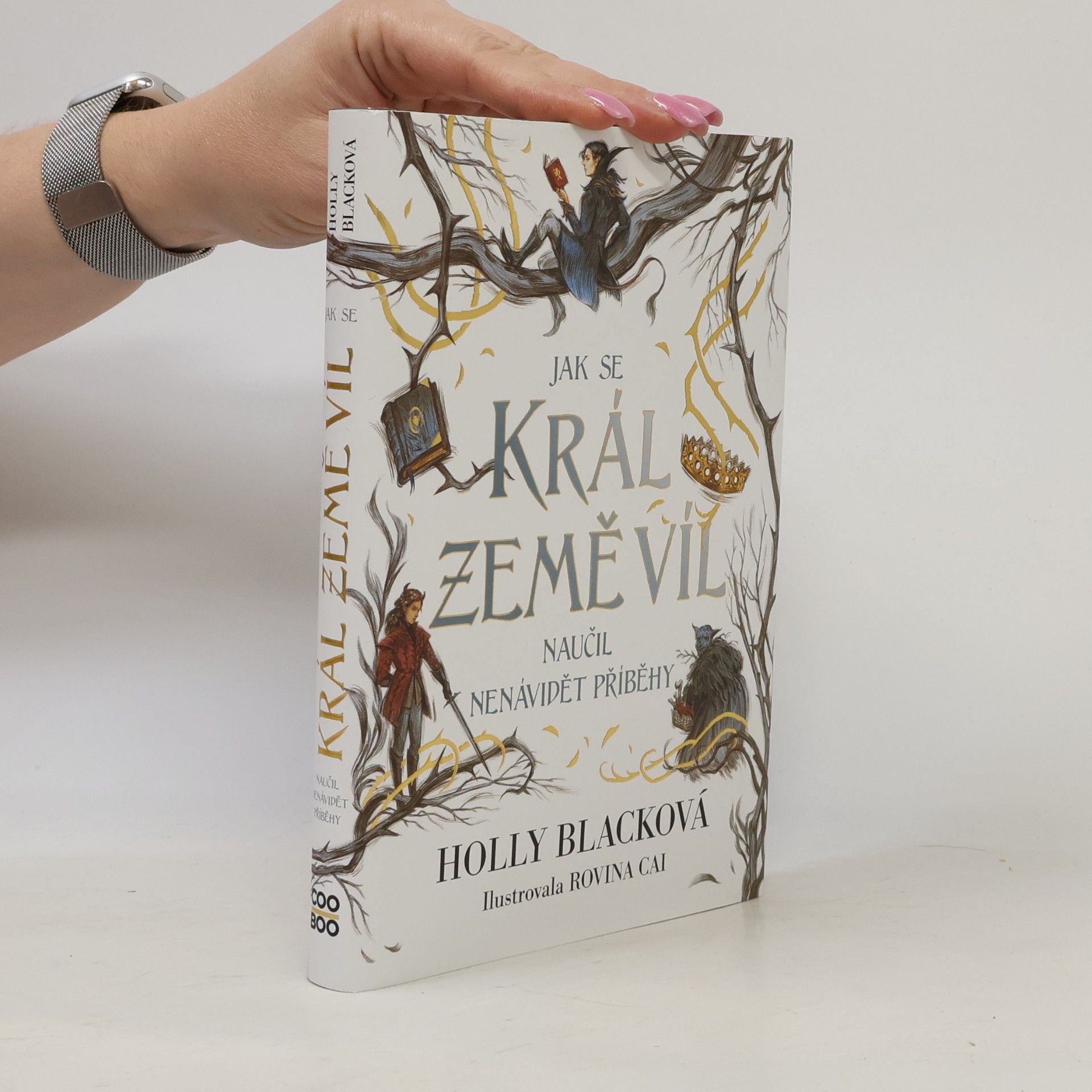 Holly Black Jak se král Země víl naučil nenávidět příběhy
