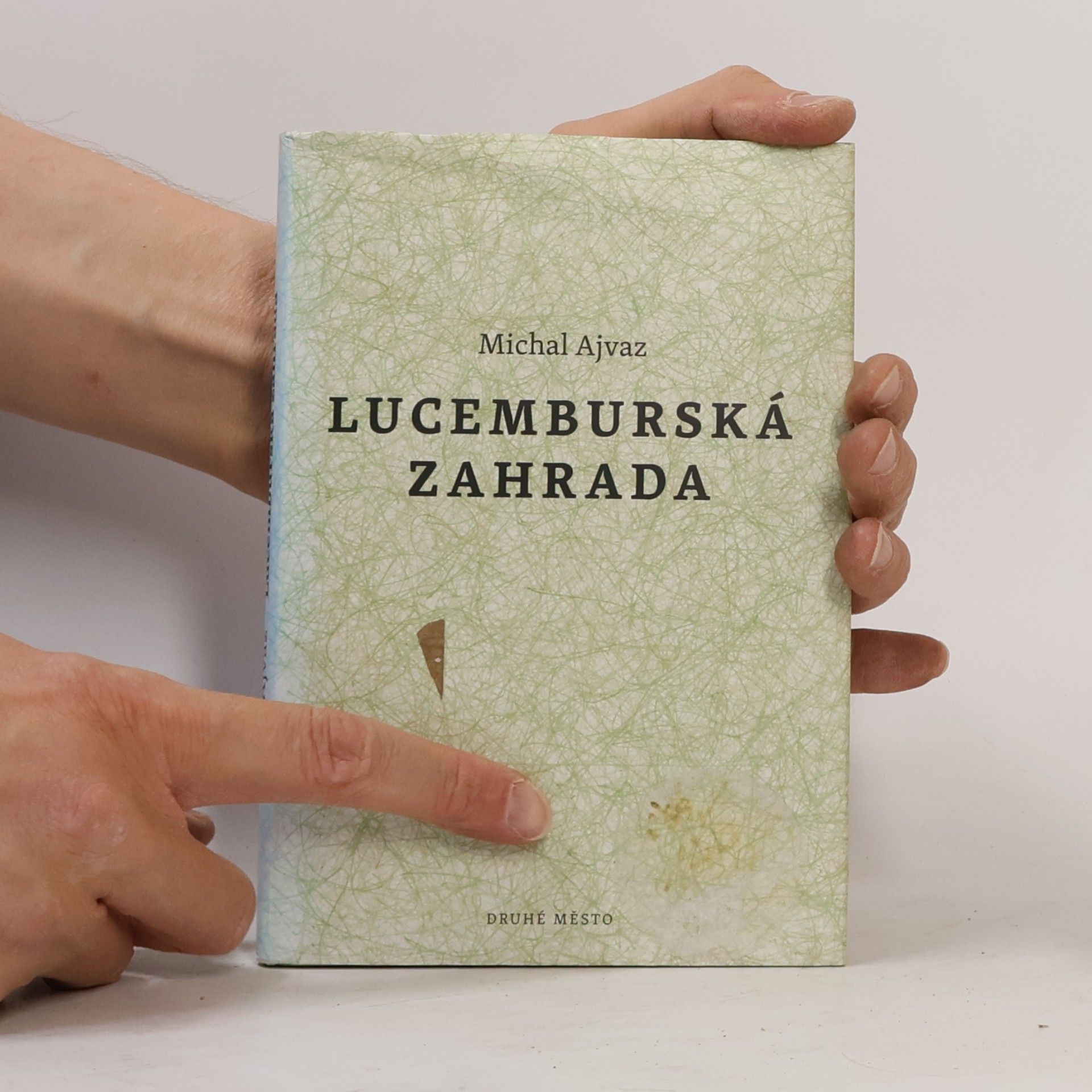 Michal Ajvaz Lucemburská zahrada