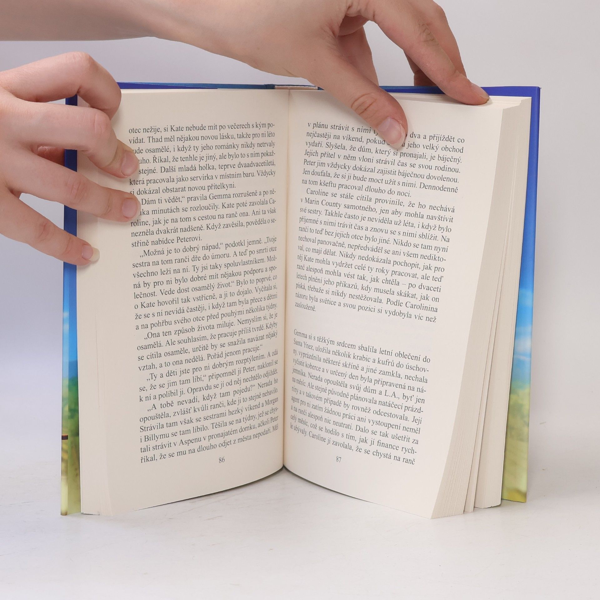 Danielle Steel Tátova děvčata