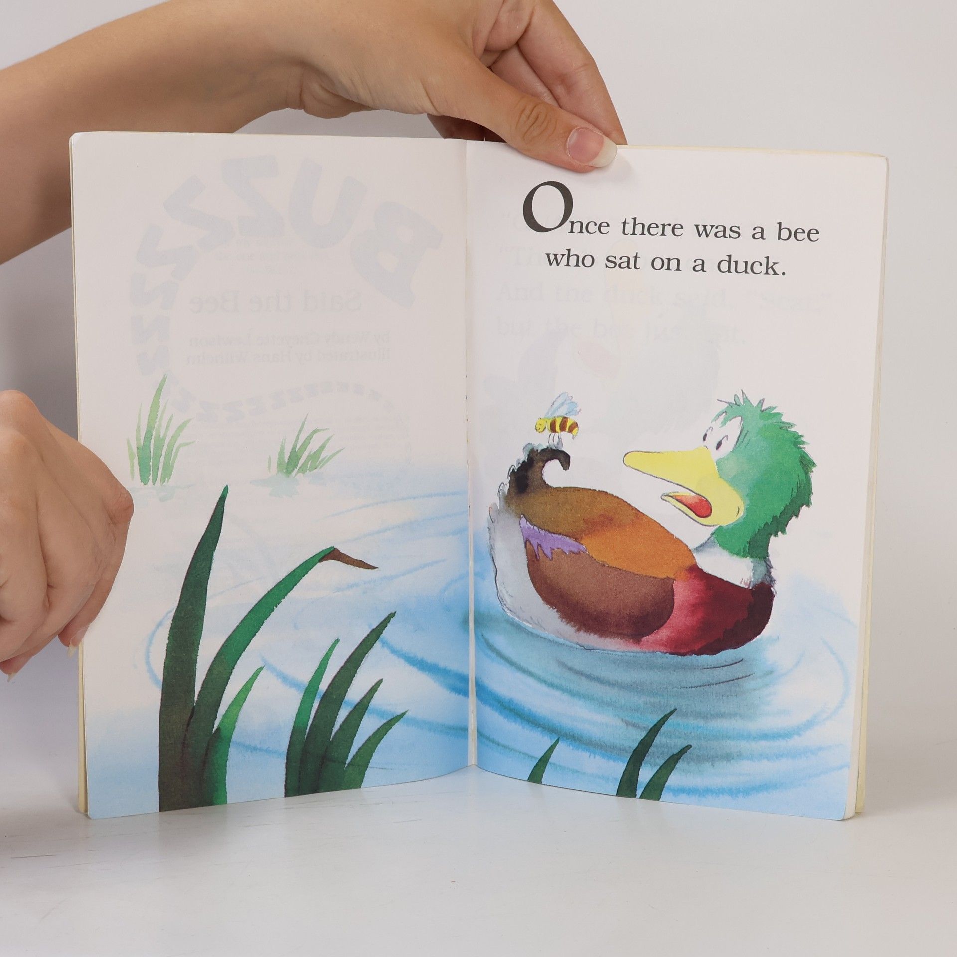 Wendy Cheyette Lewison Hello Reader!: Buzzzzzzz Said the Bee