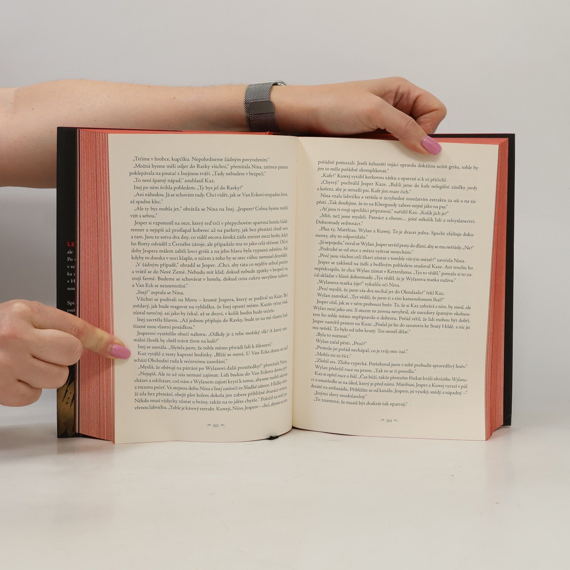 Leigh Bardugo Prohnilé město