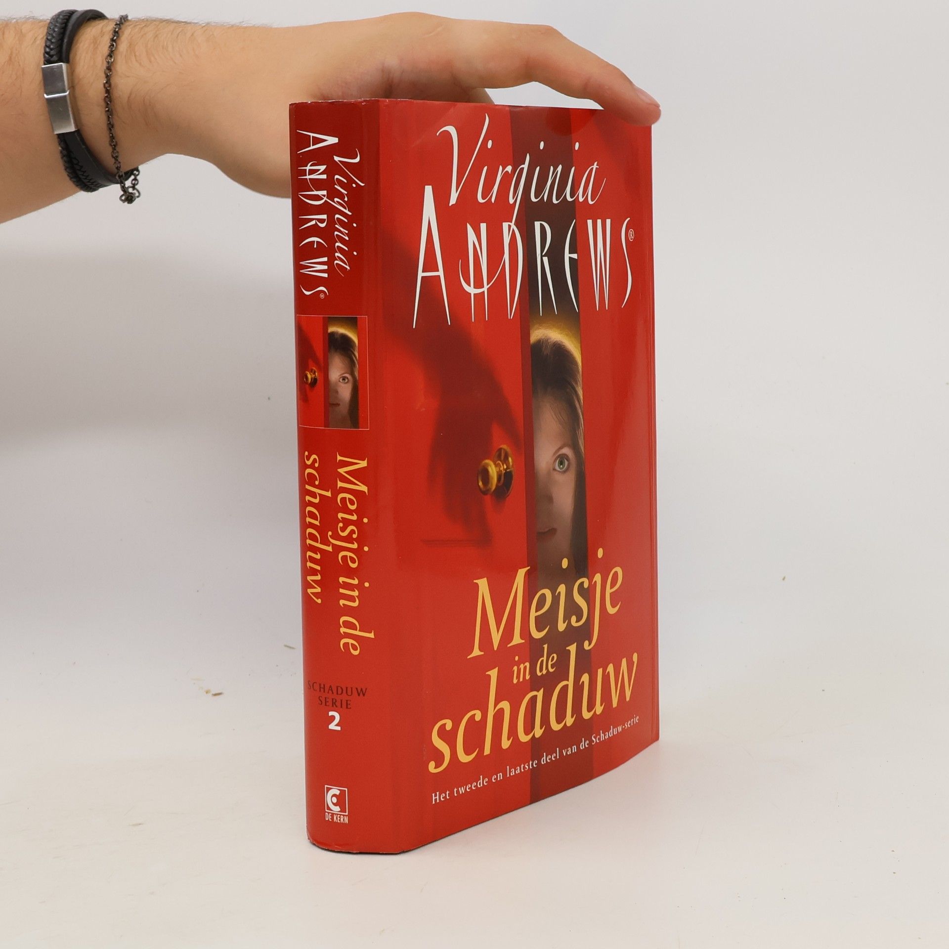 Parma van Loon Schaduw-serie - 2: Meisje in de schaduw