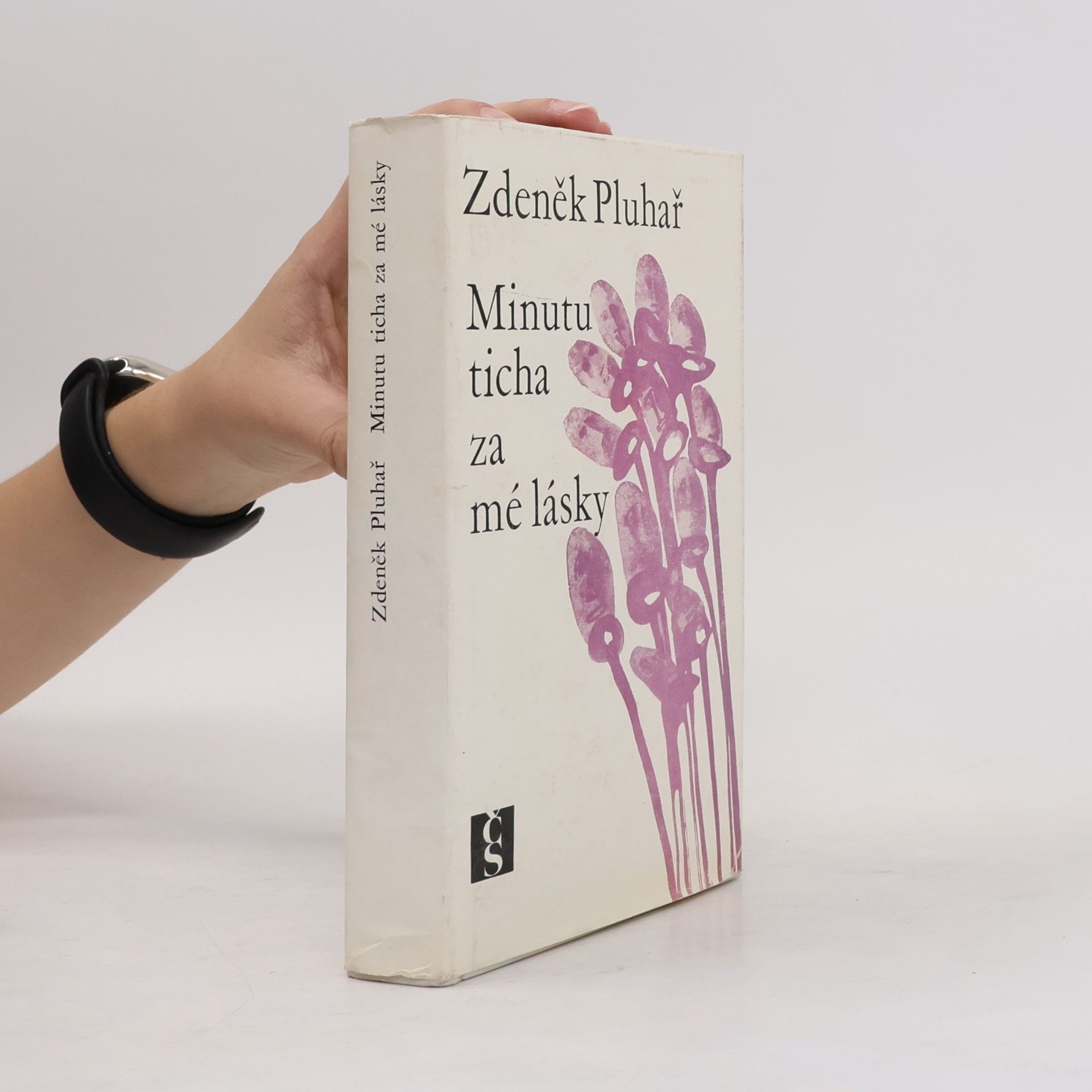 Zdeněk Pluhař Minutu ticha za mé lásky