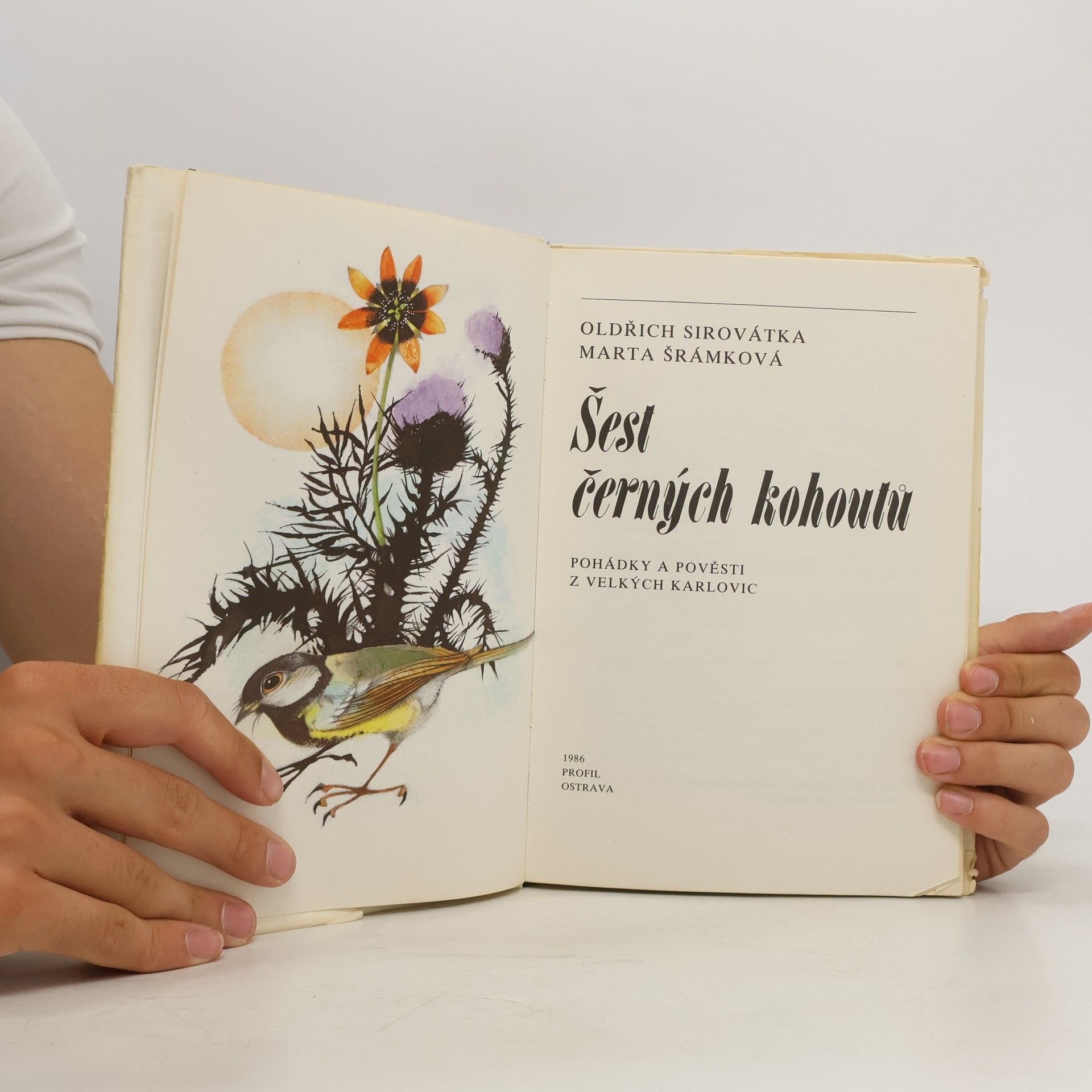 Oldřich Sirovátka Šest černých kohoutů