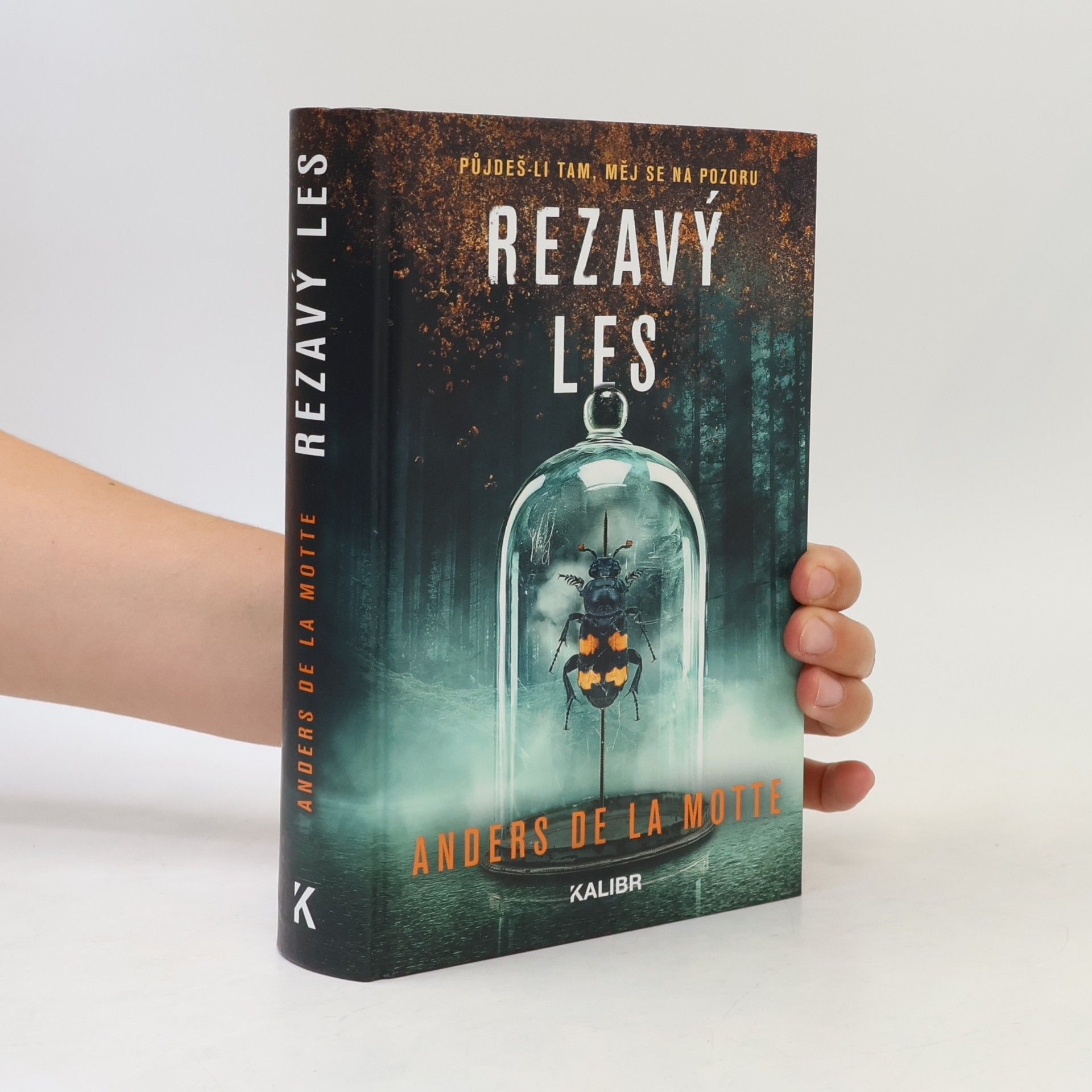 Anders De la Motte Rezavý les