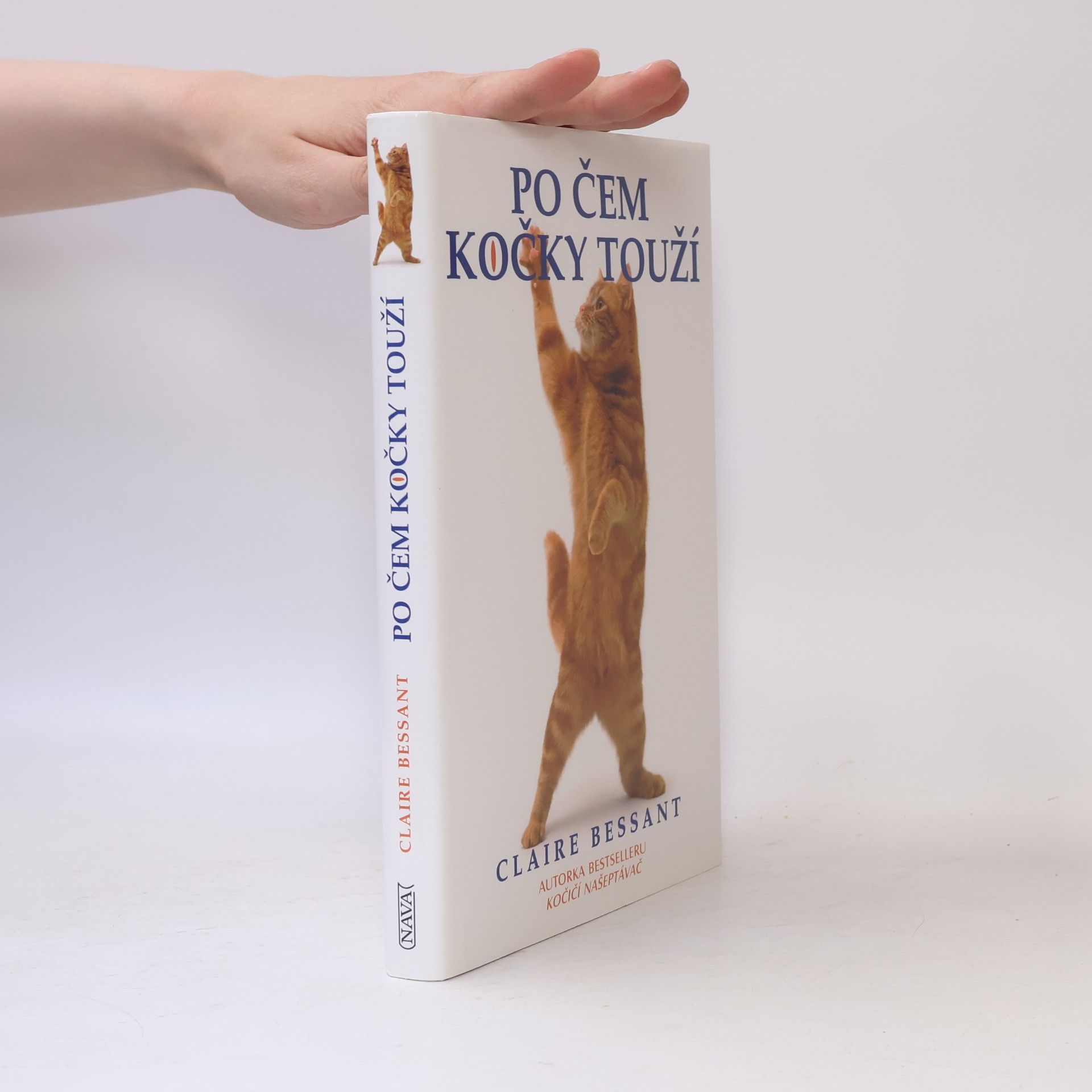 Claire Bessant Po čem kočky touží